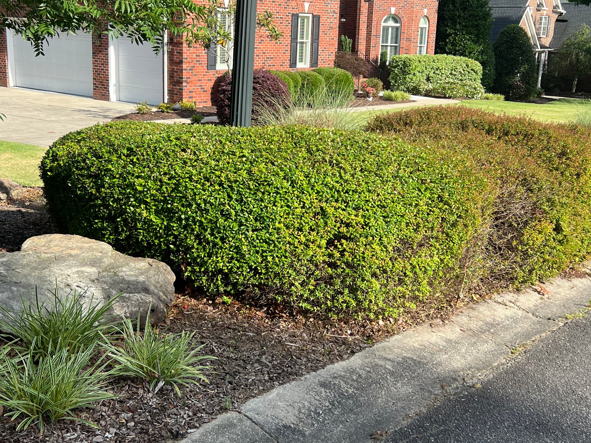 Gallery photos for Shrub Trimming That Actually Makes a Difference at the Curb: Image #6