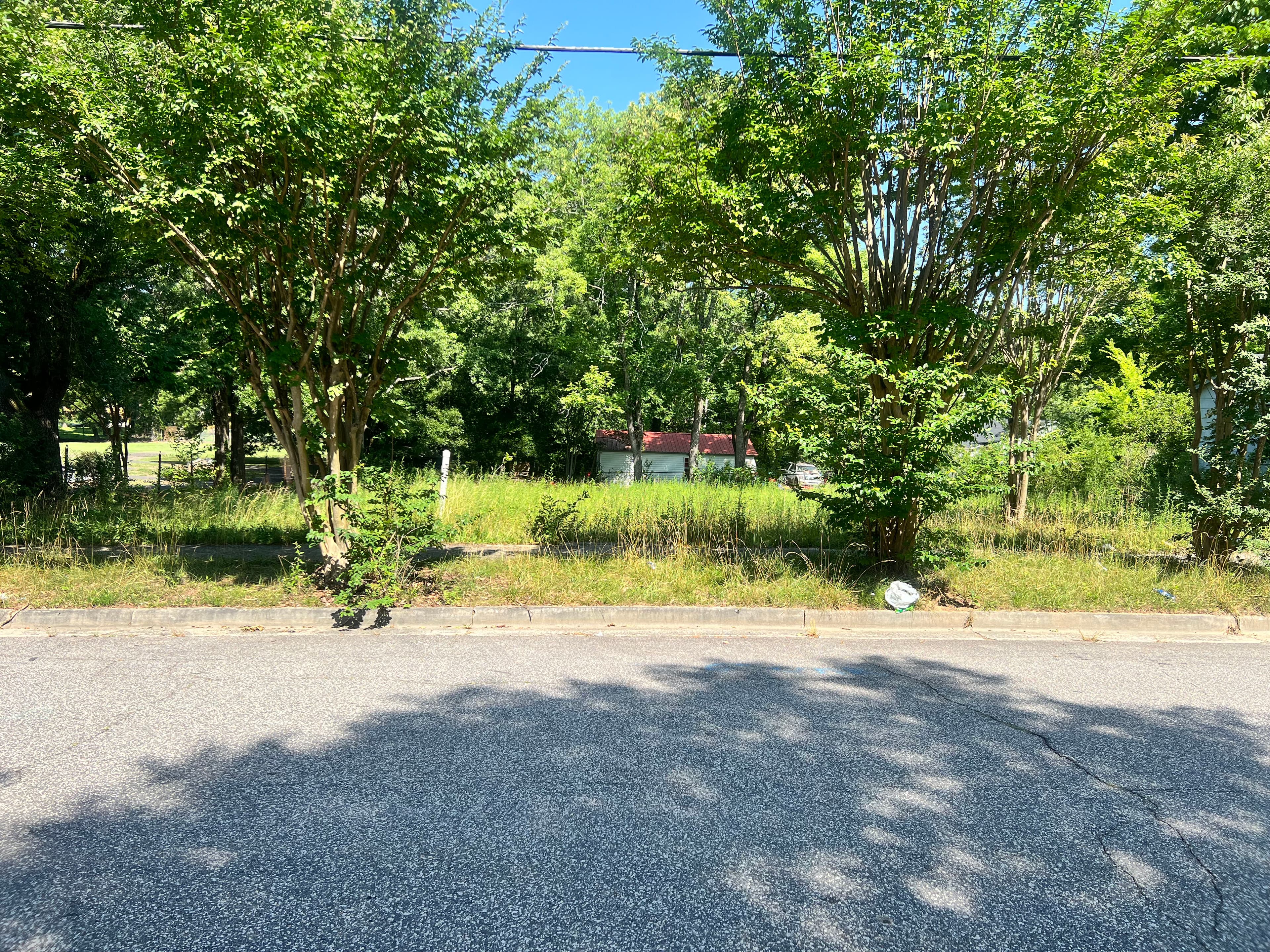 Project Vacant Lot Cleanup That Actually Makes a Difference image