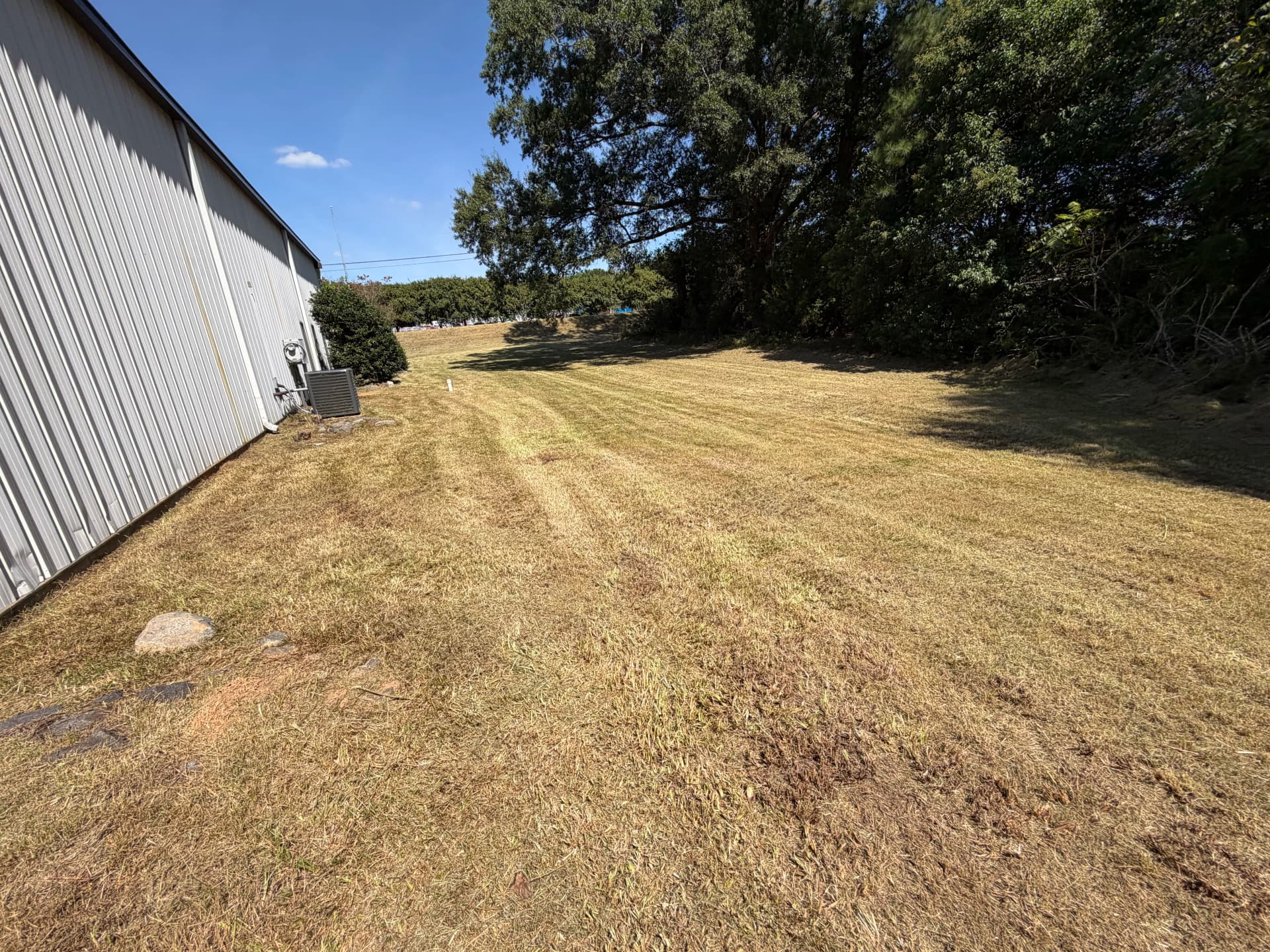 Gallery photos for Commercial Property Yard Cleanup and Mowing Done Right: Image #7