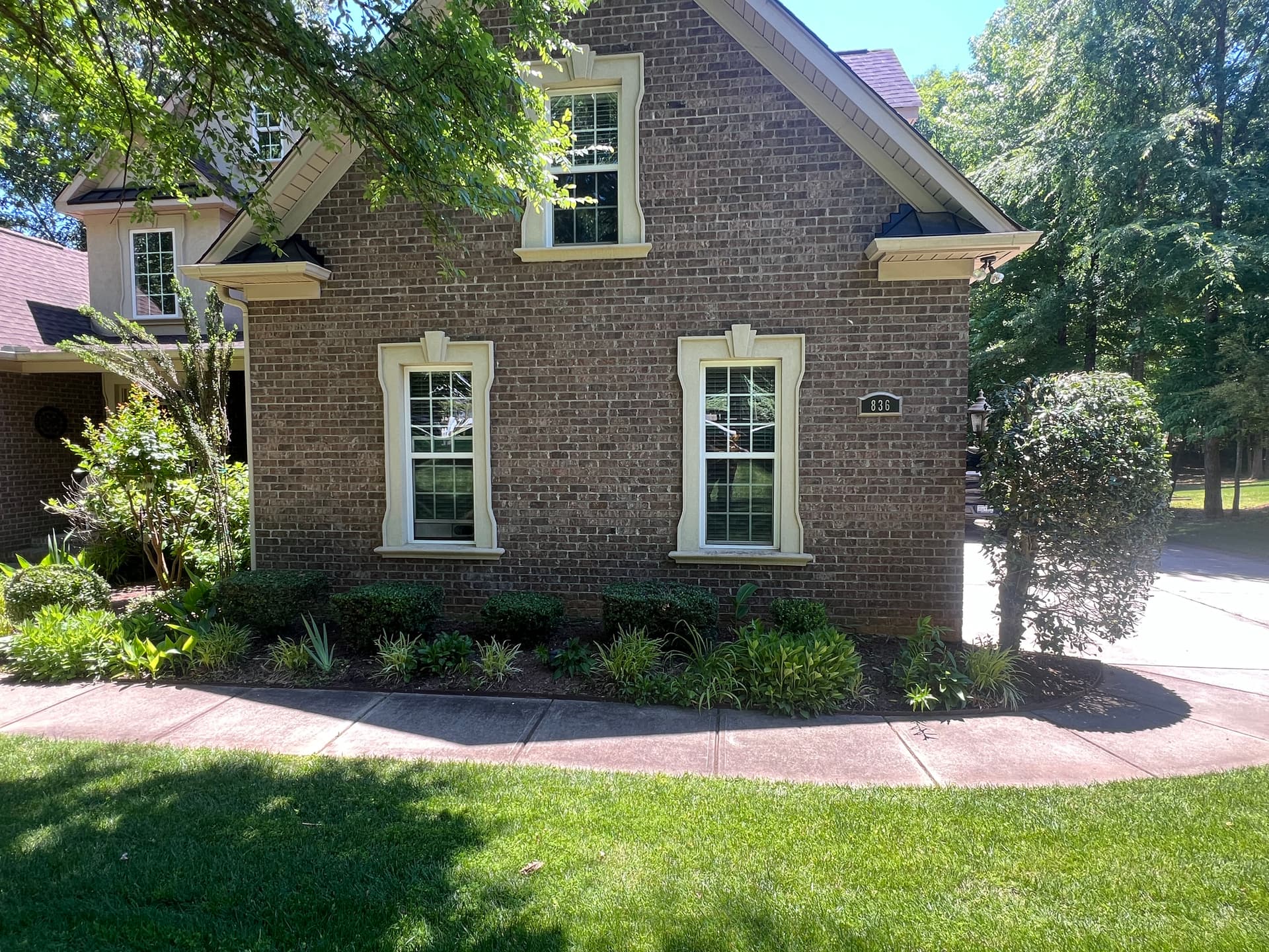 Gallery photos for Overgrown Shrubs Cut Back and Lawn Brought Back to Sharp: Image #3