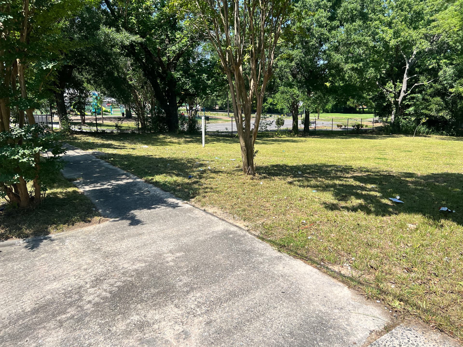 Gallery photos for Vacant Lot Cleanup That Actually Makes a Difference: Image #7