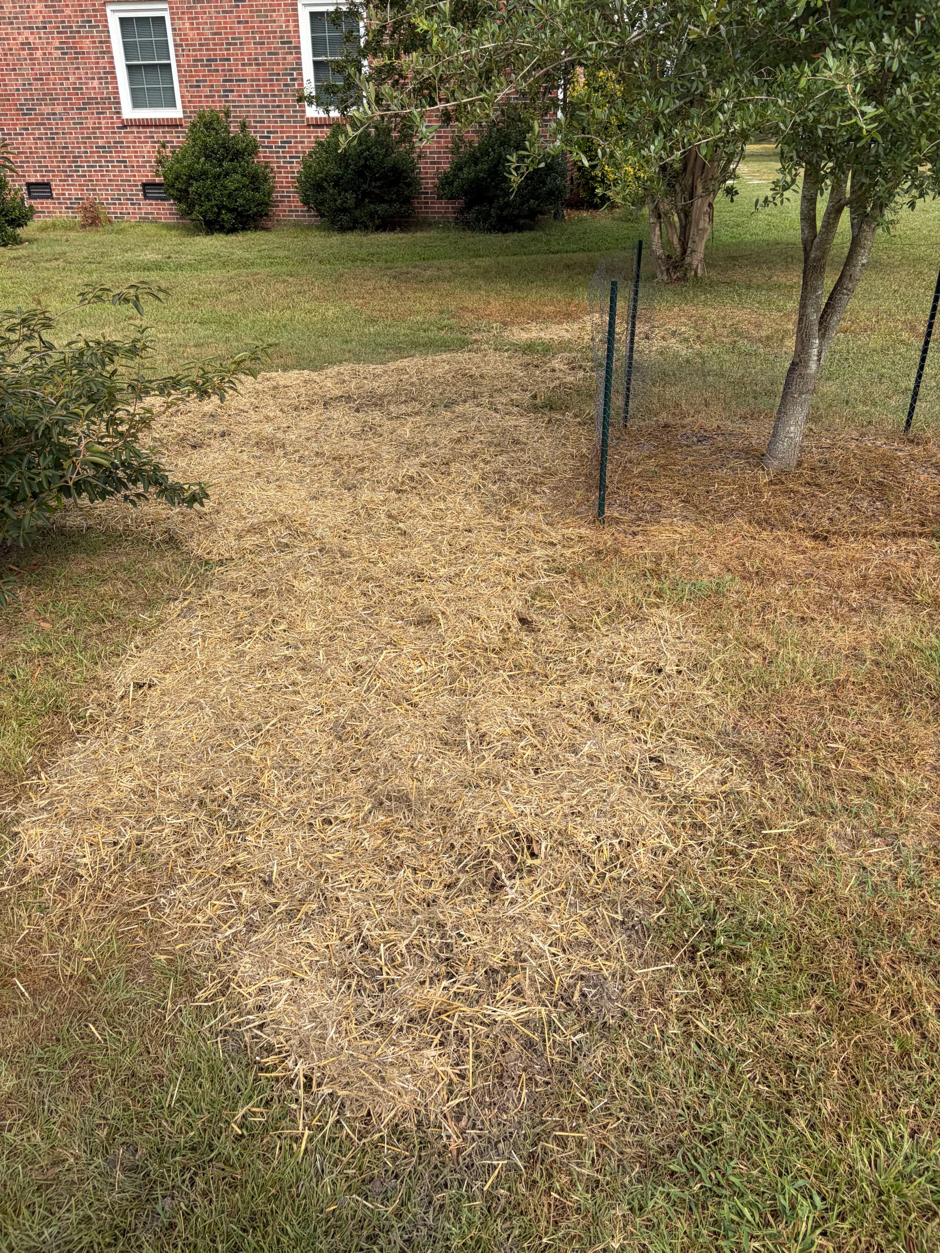 Gallery photos for Fresh Mulch Around Oak Trees That Actually Makes a Difference: Image #8