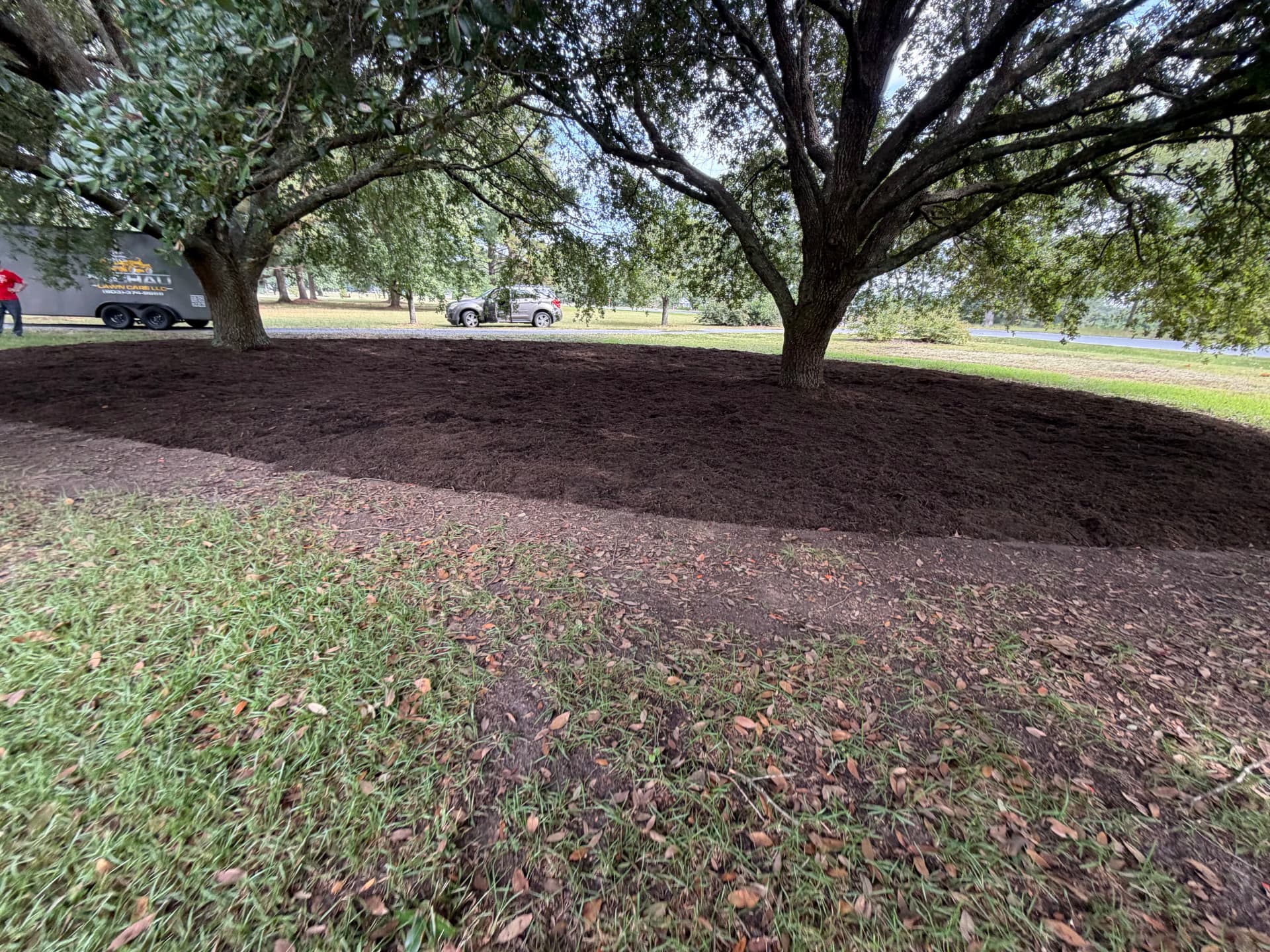 Gallery photos for Fresh Mulch Around Oak Trees That Actually Makes a Difference: Image #7