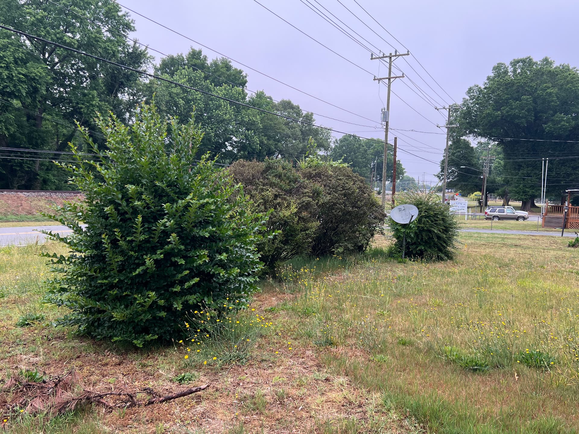 Gallery photos for Investor Property Cleanup - Lawn Mowing and Shrub Trimming Done Right: Image #8
