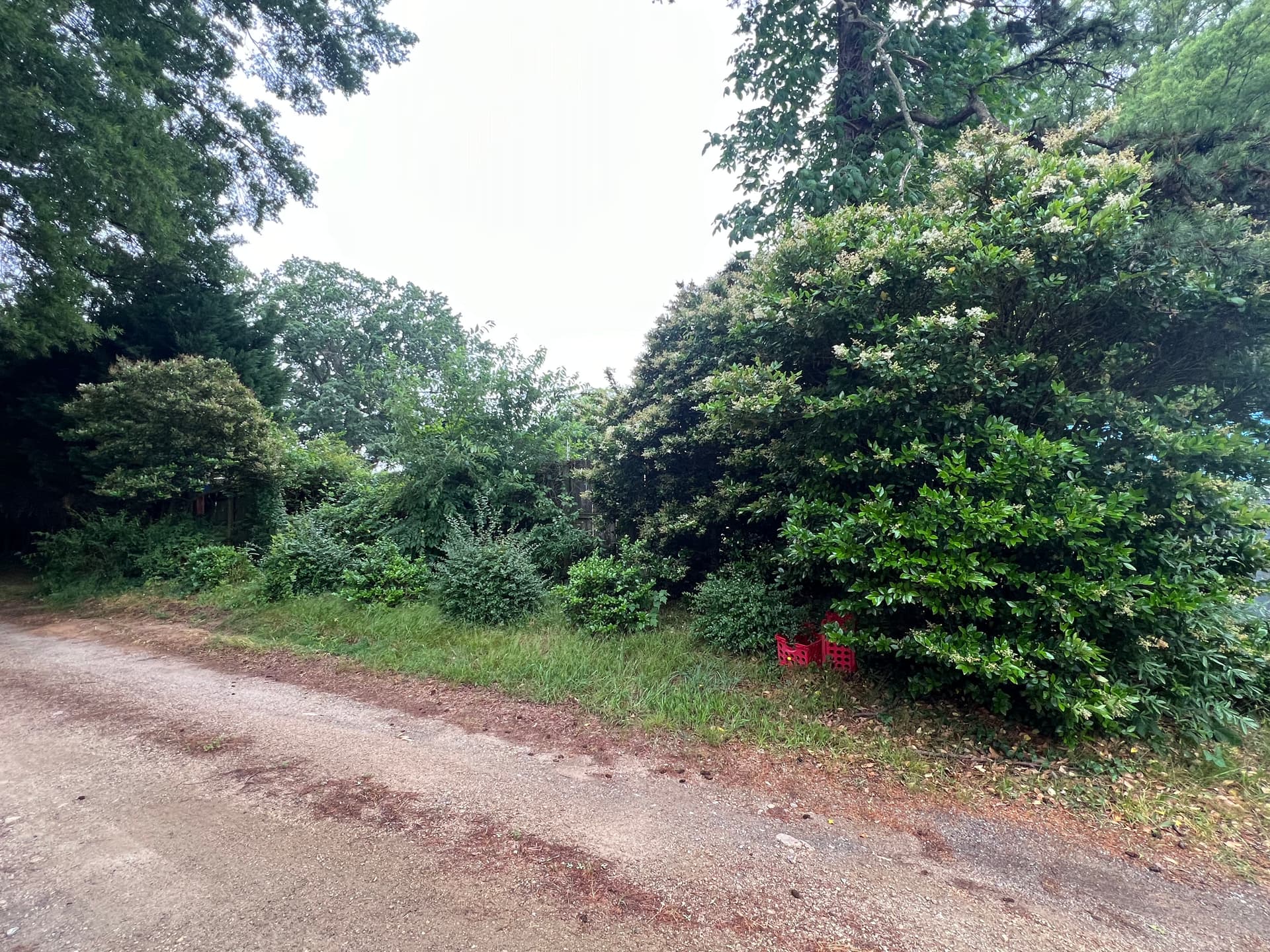 Gallery photos for Investor Property Cleanup - Lawn Mowing and Shrub Trimming Done Right: Image #4