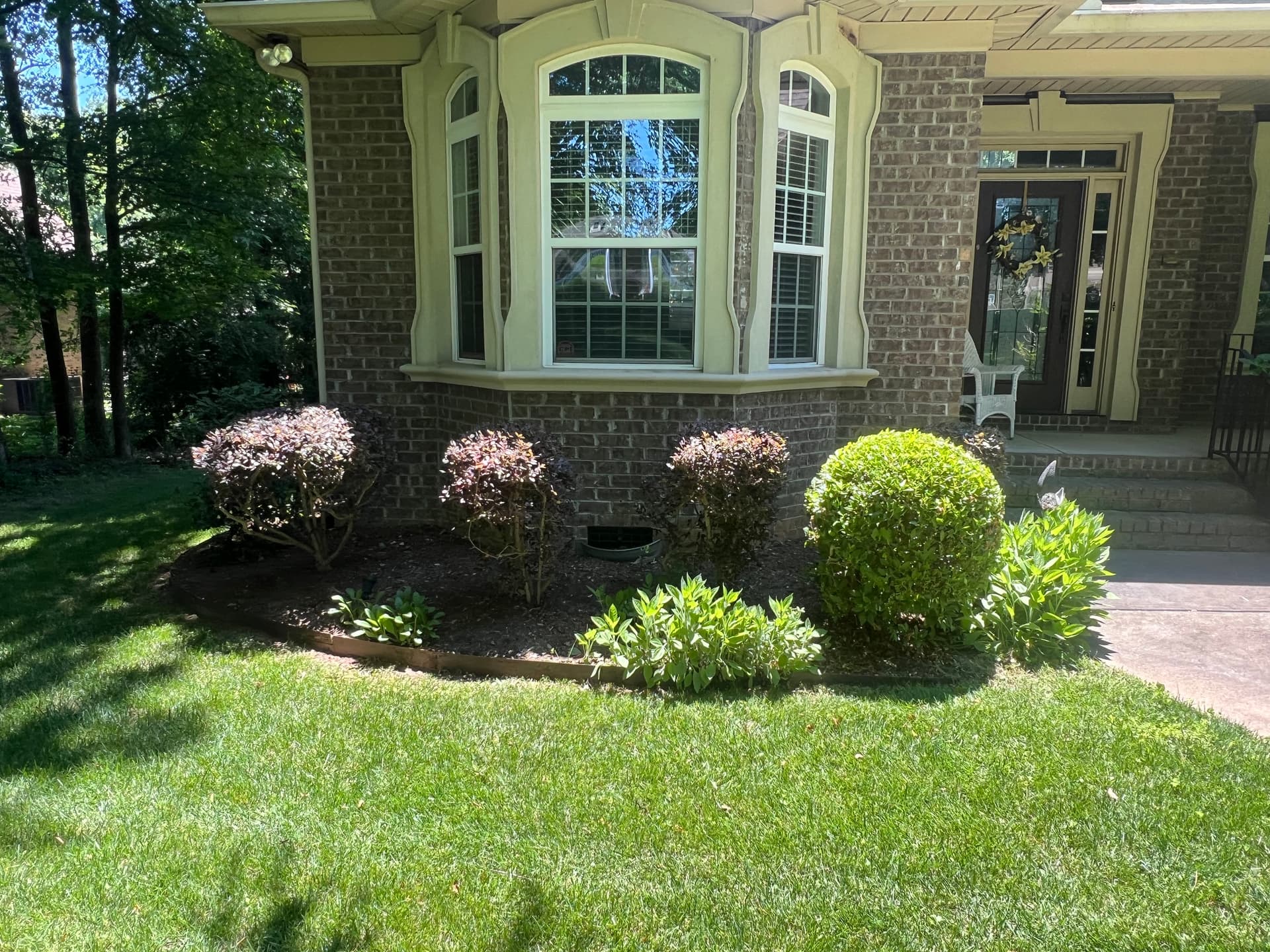 Gallery photos for Overgrown Shrubs Cut Back and Lawn Brought Back to Sharp: Image #5