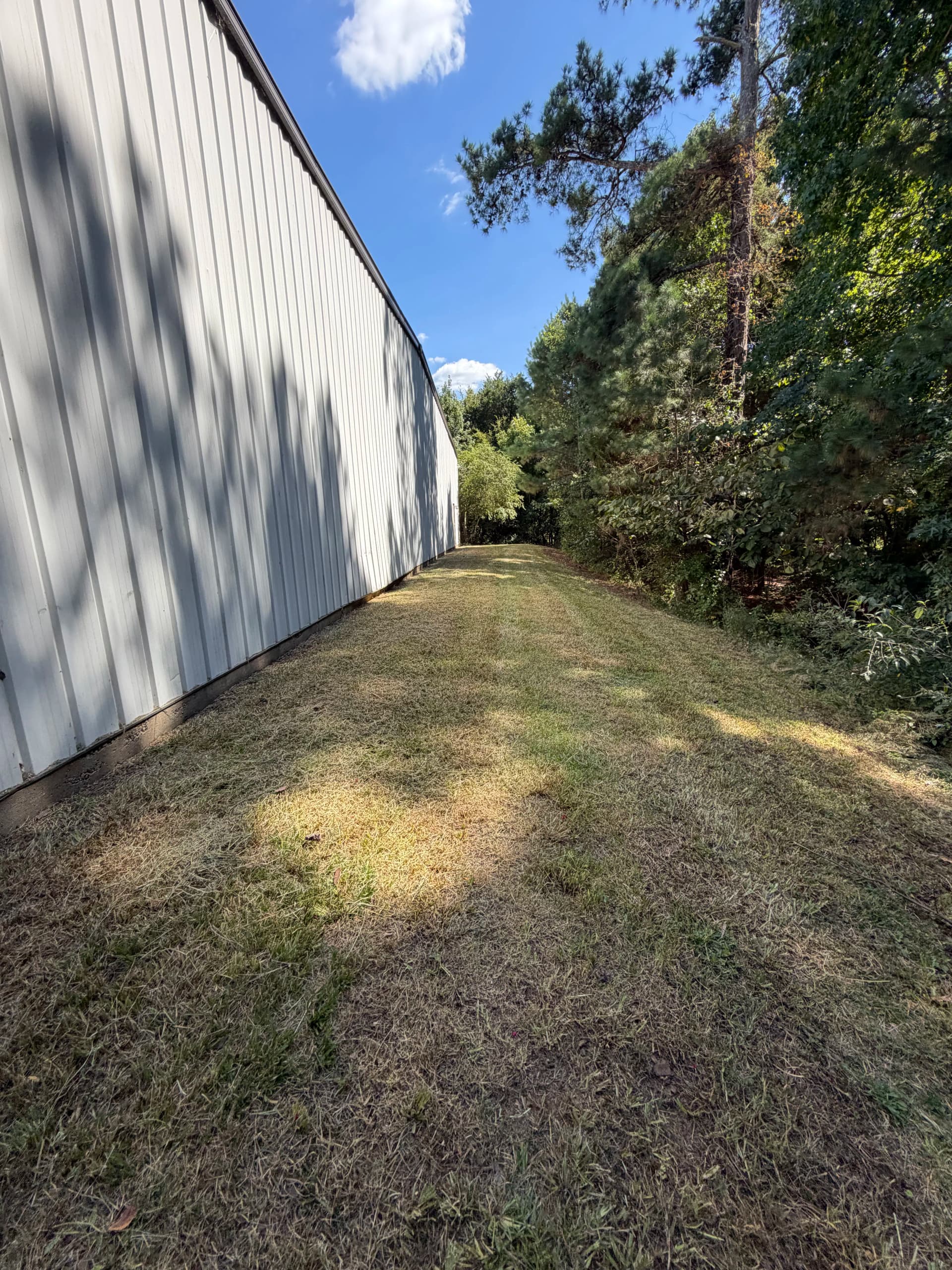 Gallery photos for Commercial Property Yard Cleanup and Mowing Done Right: Image #3