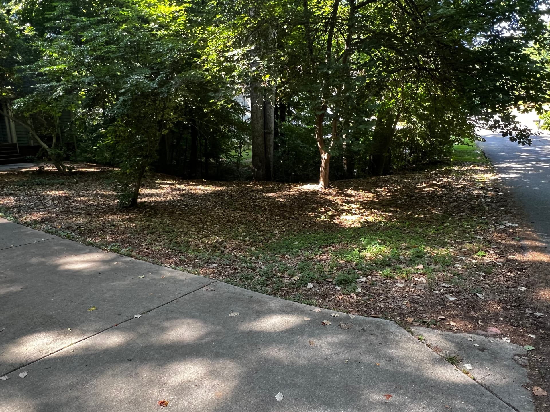 Gallery photos for Full Property Cleanup with Tree Removal and Stump Grinding: Image #2