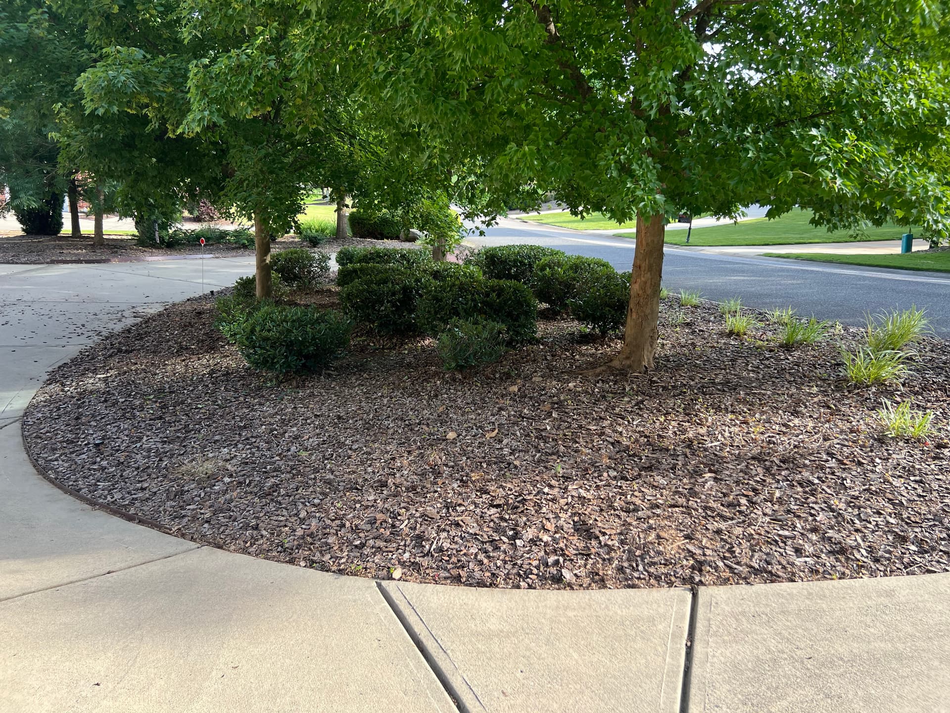 Shrub Trimming That Actually Makes a Difference at the Curb