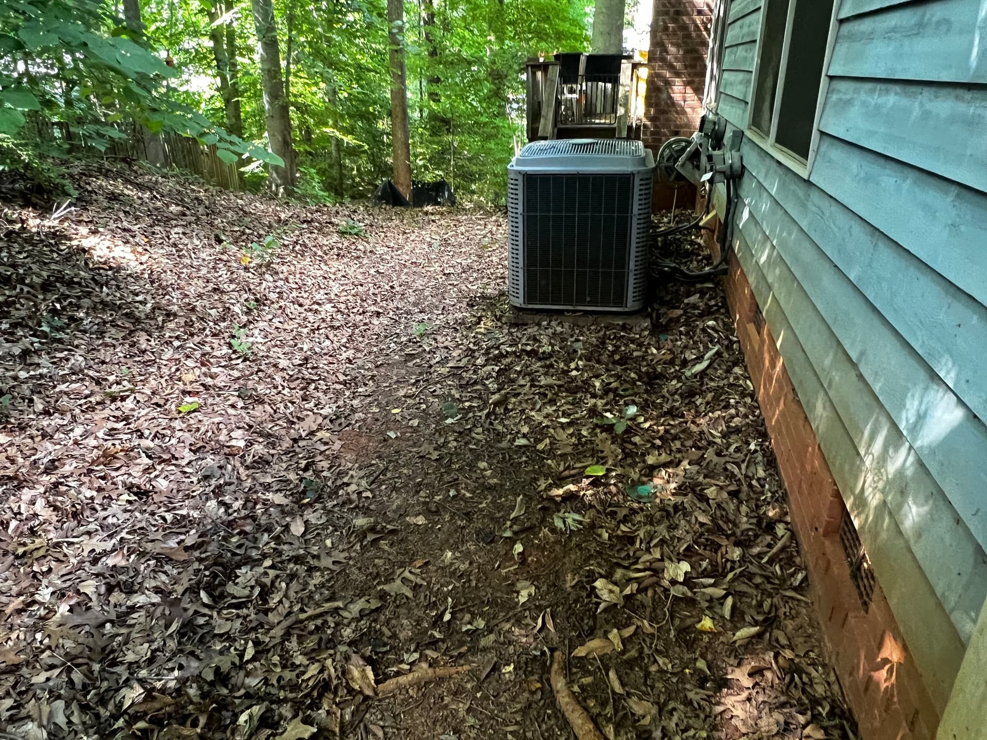 Gallery photos for Full Property Cleanup with Tree Removal and Stump Grinding: Image #4