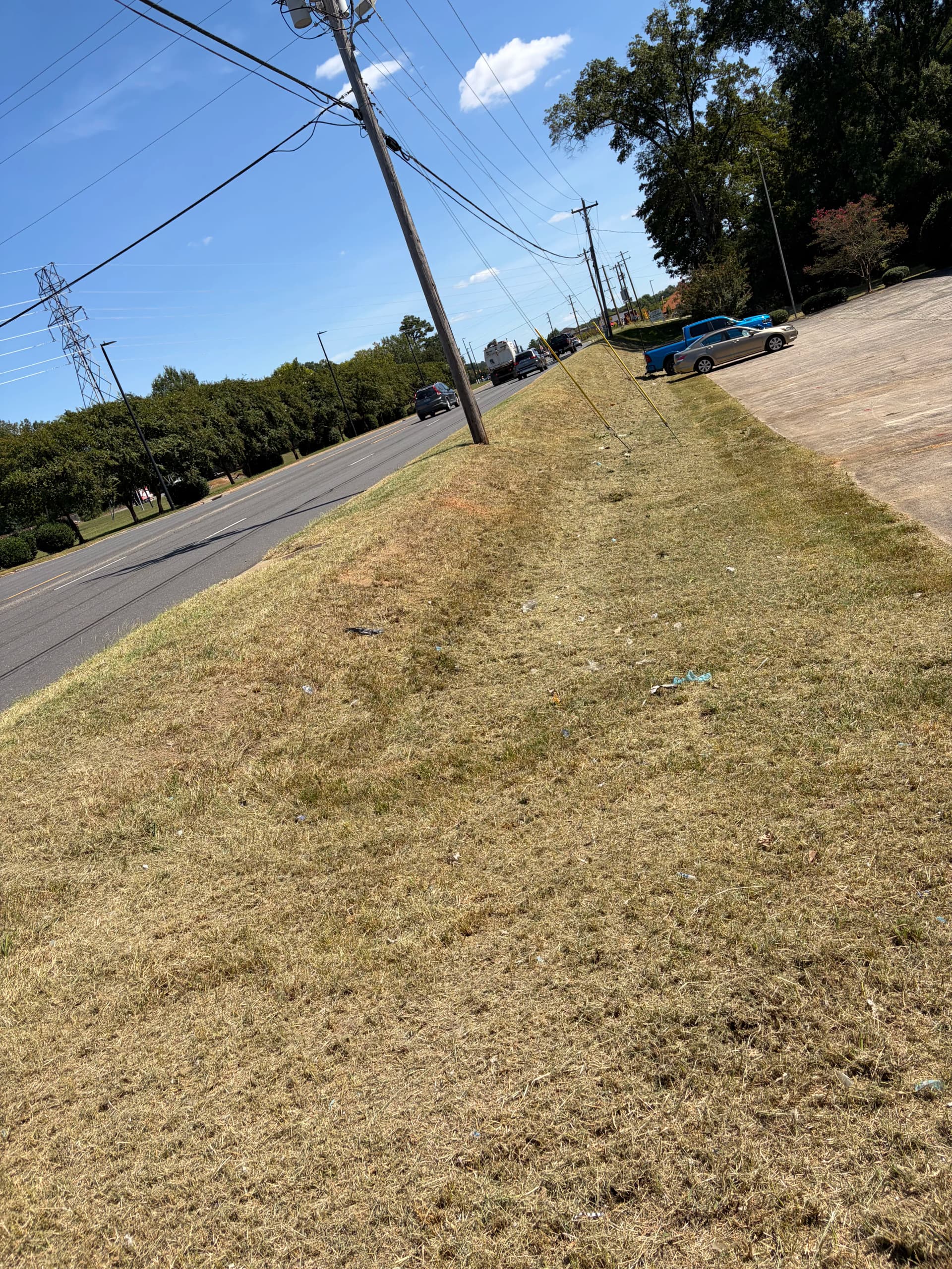 Gallery photos for Commercial Property Yard Cleanup and Mowing Done Right: Image #5