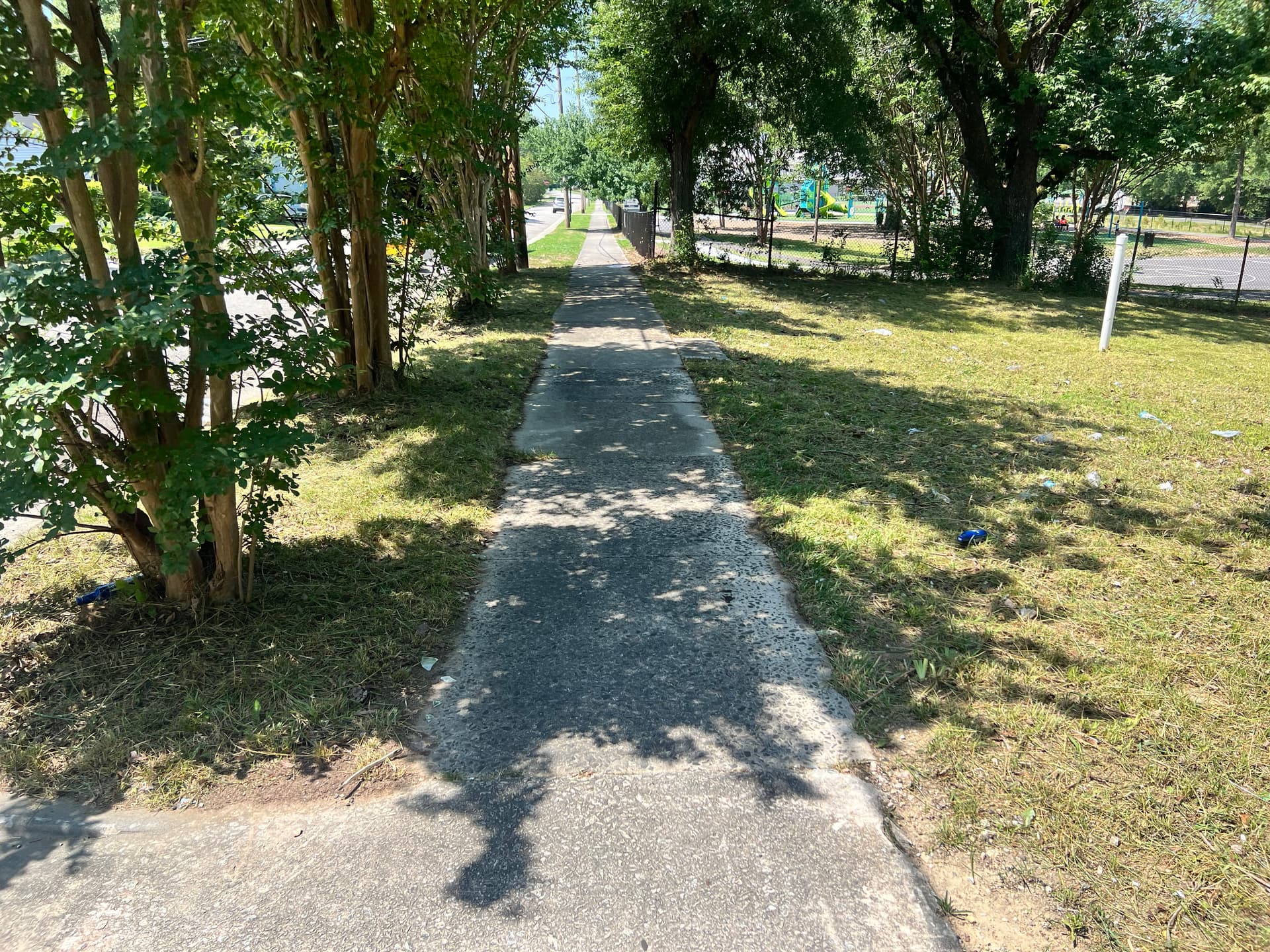 Gallery photos for Vacant Lot Cleanup That Actually Makes a Difference: Image #8