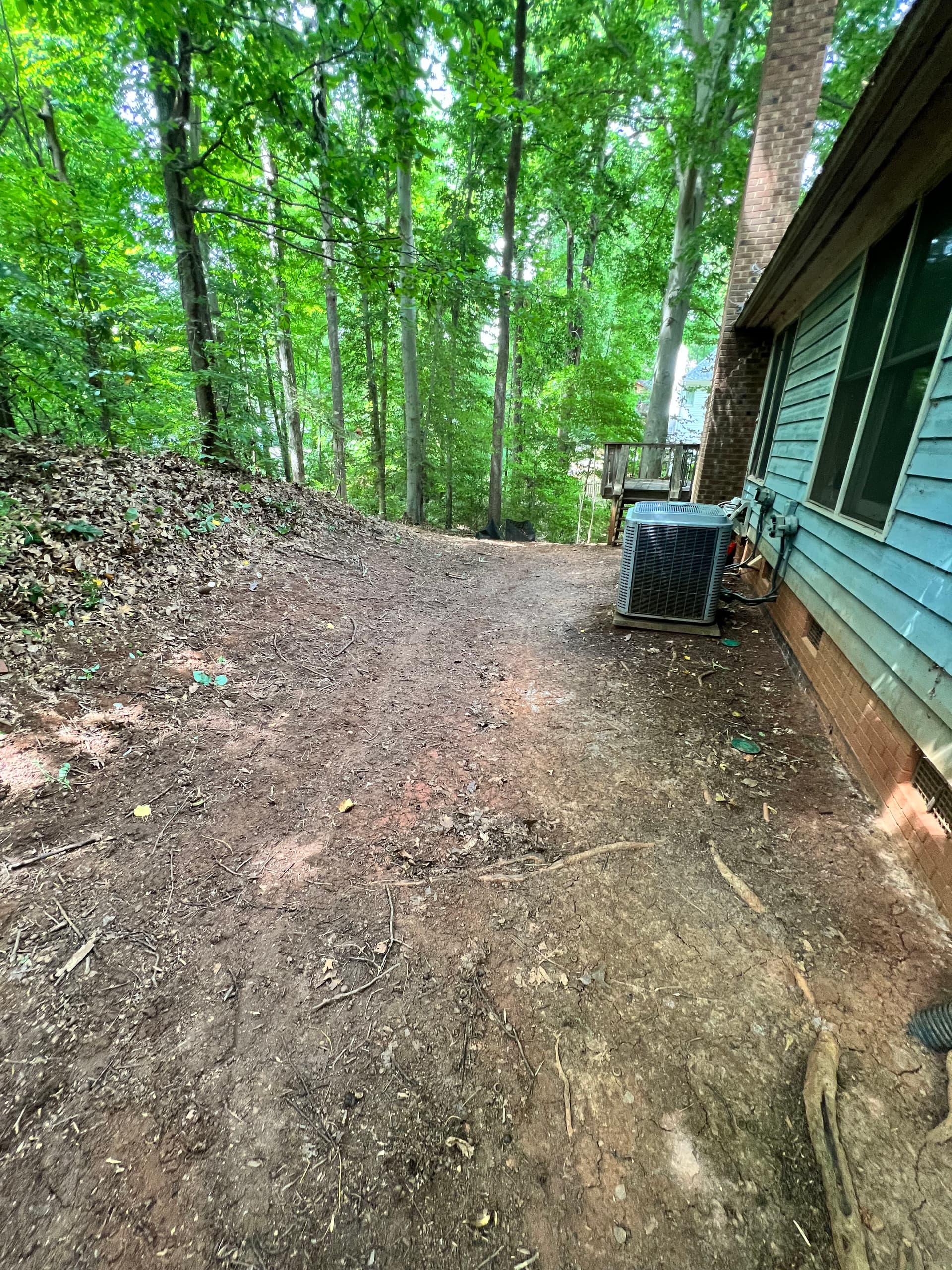 Gallery photos for Full Property Cleanup with Tree Removal and Stump Grinding: Image #5