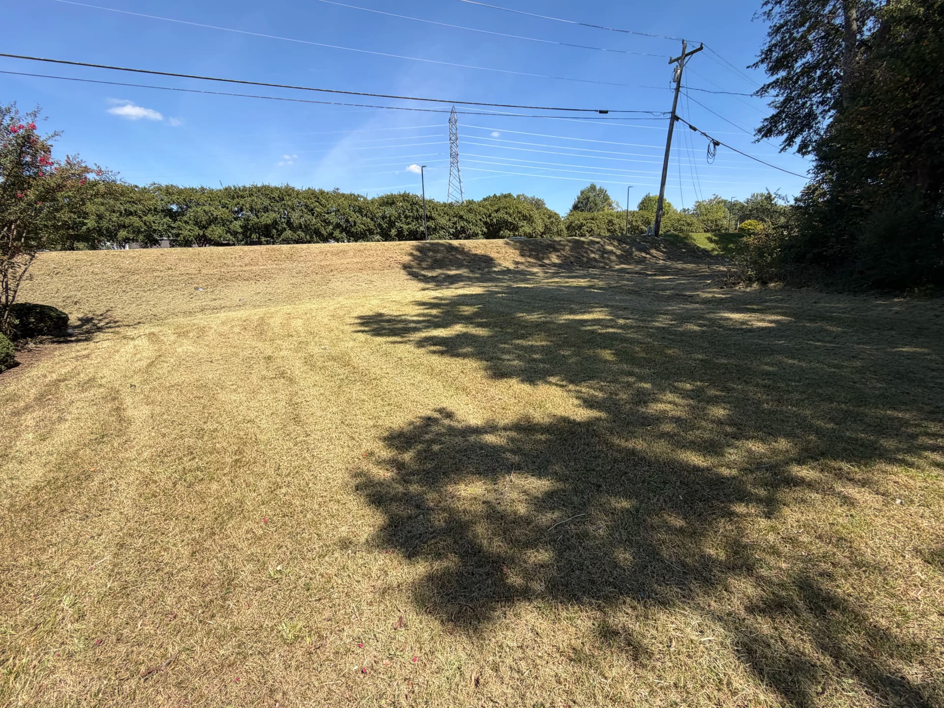 Gallery photos for Commercial Property Yard Cleanup and Mowing Done Right: Image #9