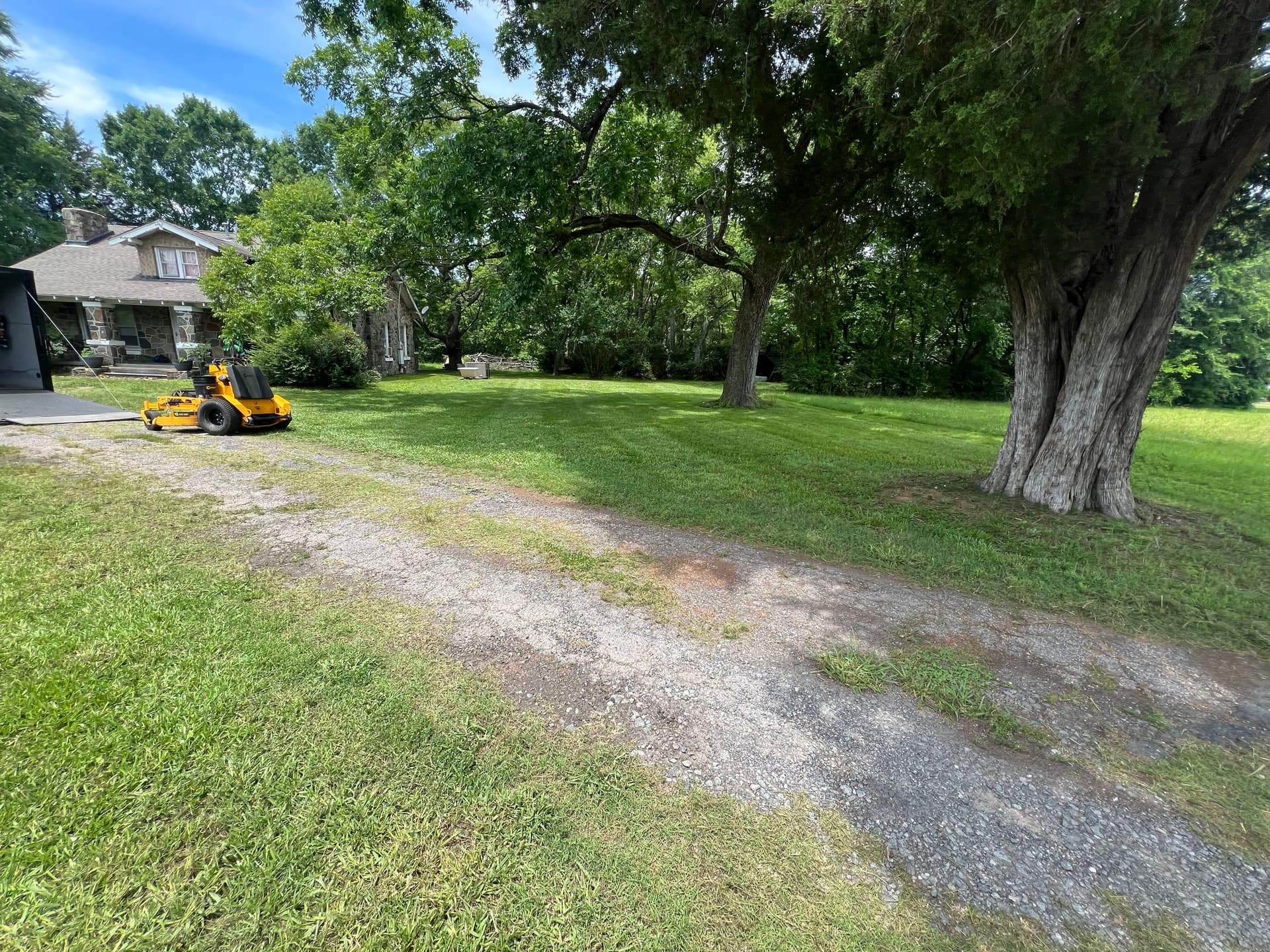 Gallery photos for Clean Cuts and Trimmed Shrubs Across Multiple Properties: Image #5