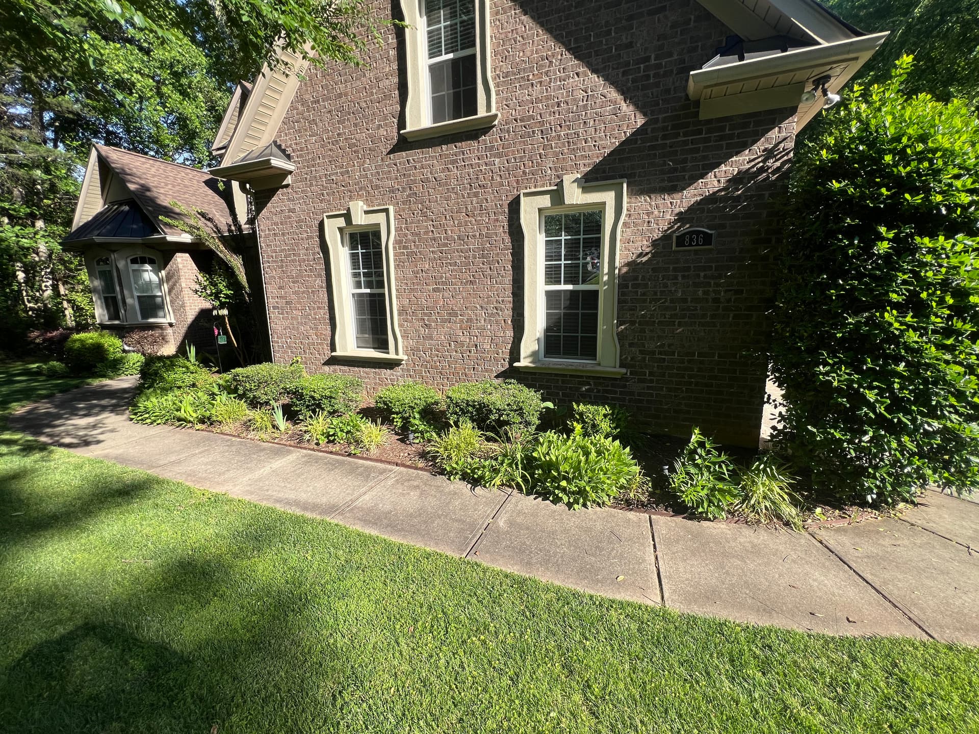 Gallery photos for Overgrown Shrubs Cut Back and Lawn Brought Back to Sharp: Image #2