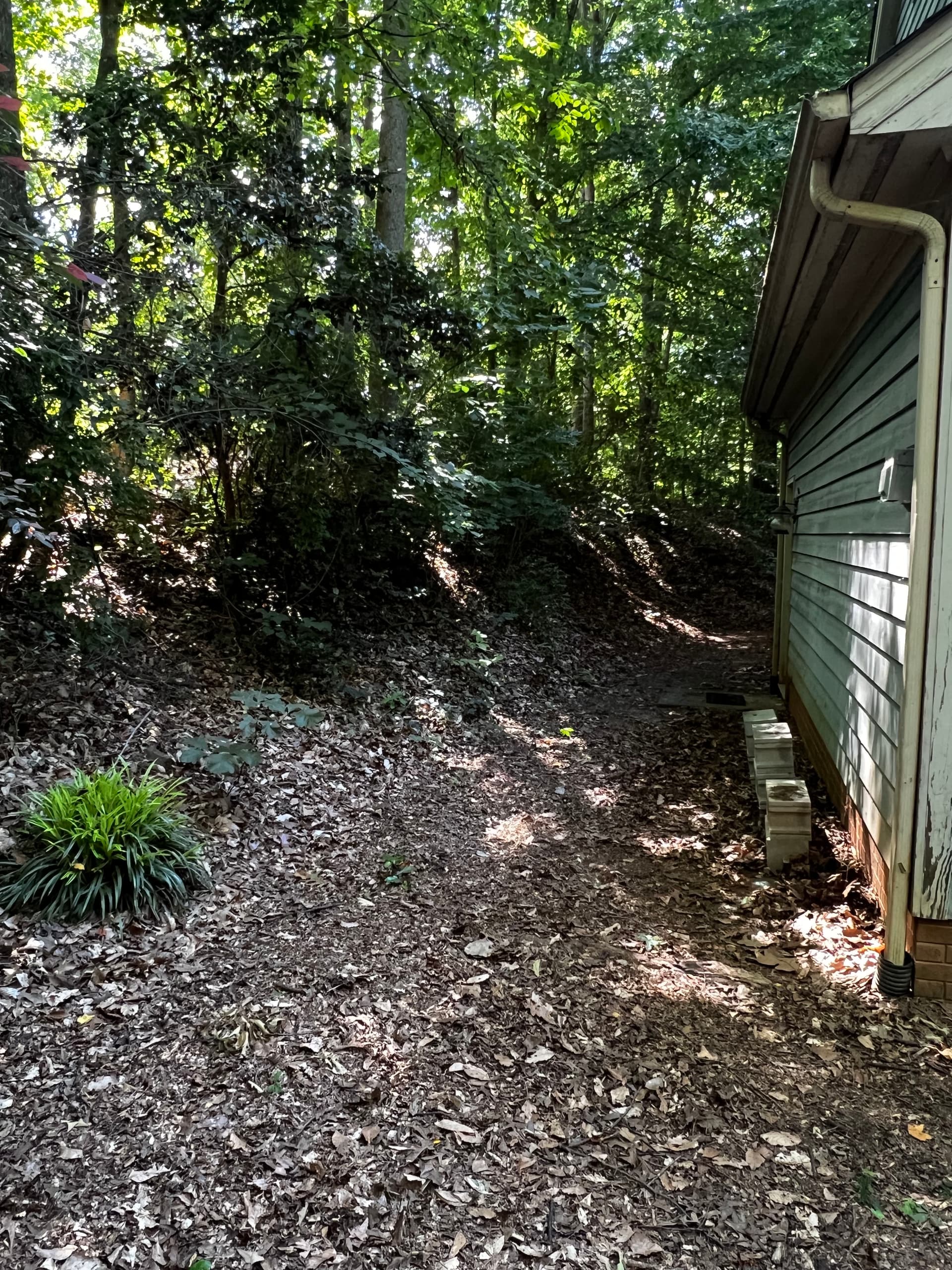 Gallery photos for Full Property Cleanup with Tree Removal and Stump Grinding: Image #6
