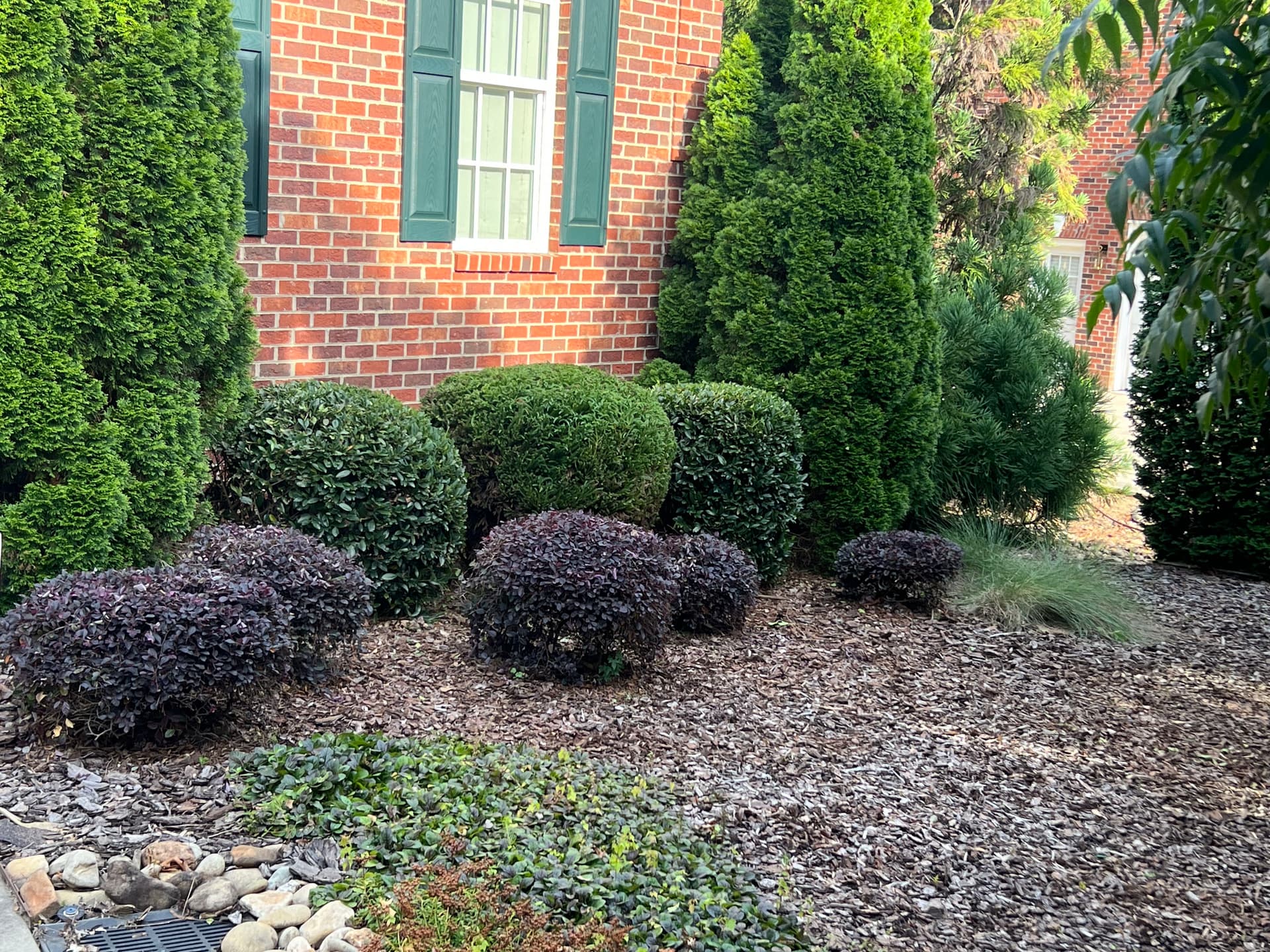 Shrub Trimming That Actually Makes a Difference at the Curb
