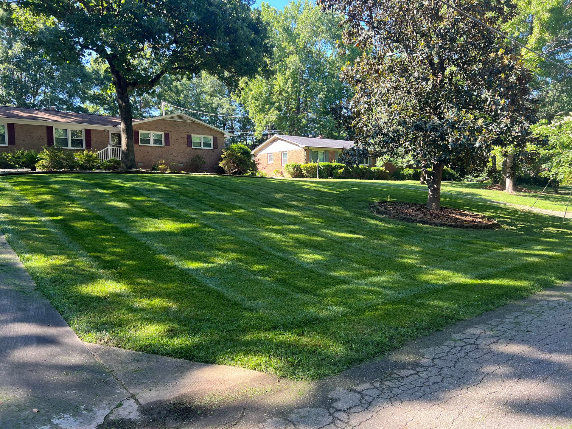 Gallery photos for A Full Day of Lawn Maintenance Done Right: Image #6