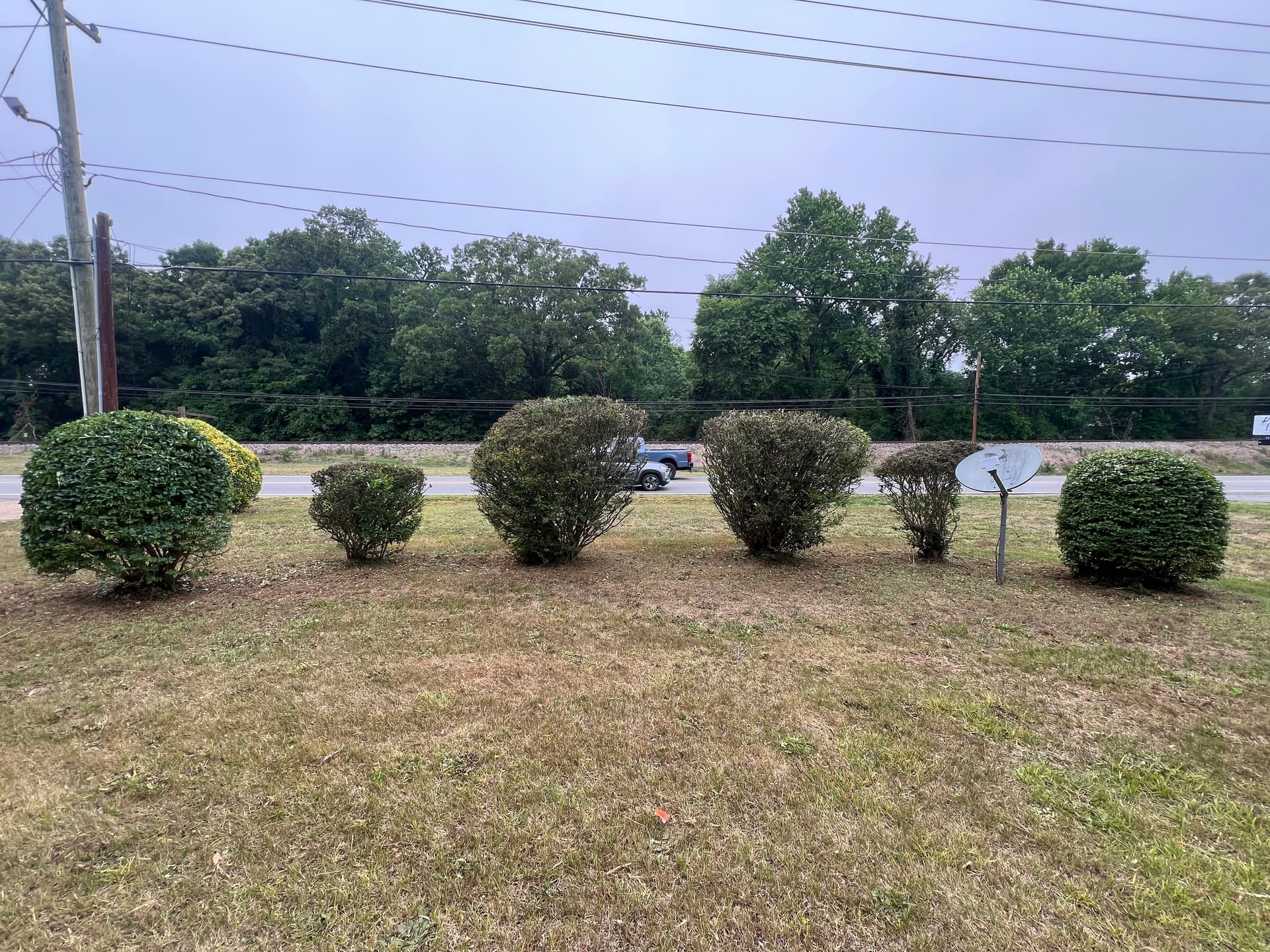 Gallery photos for Investor Property Cleanup - Lawn Mowing and Shrub Trimming Done Right: Image #9