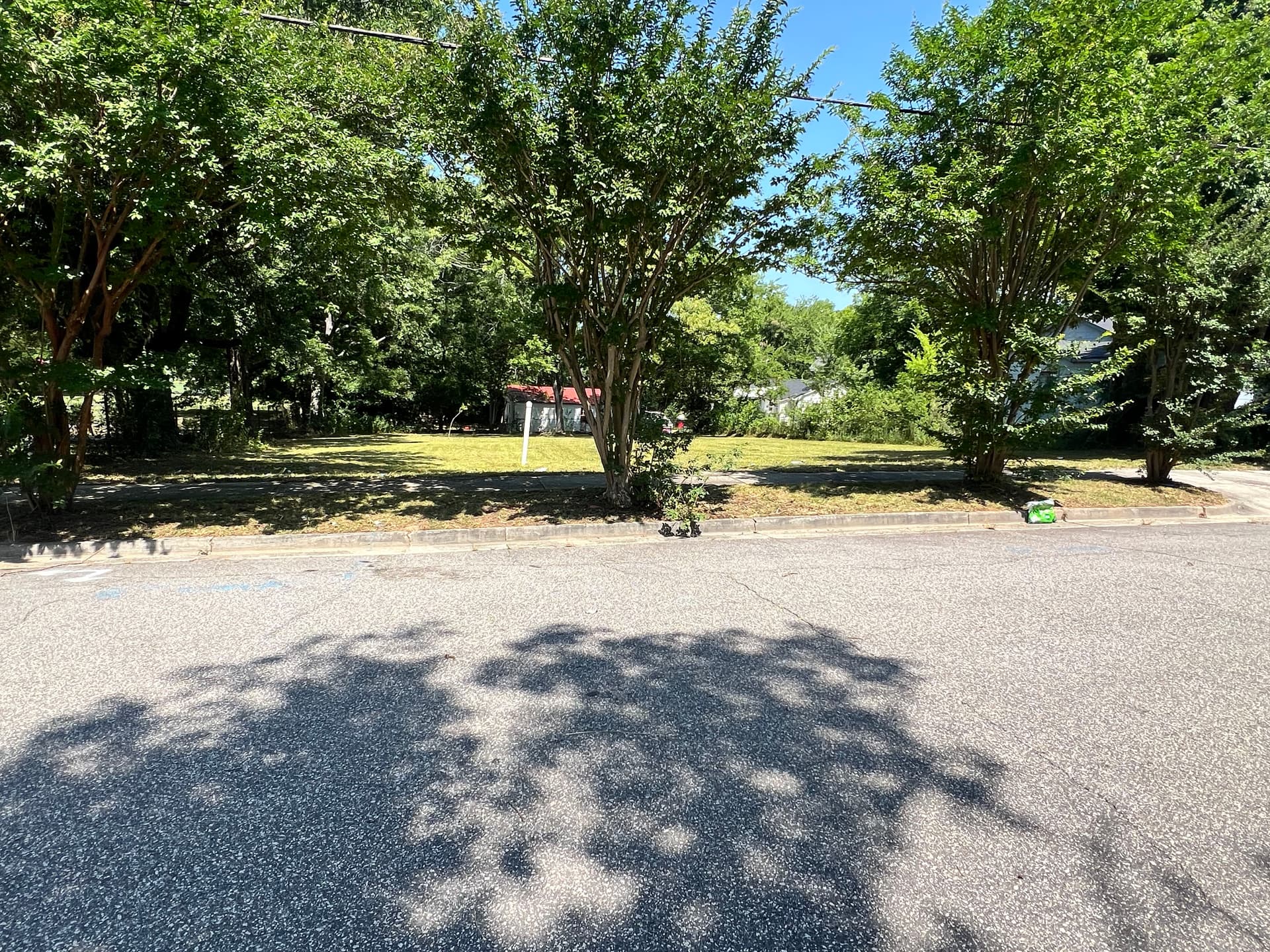 Gallery photos for Vacant Lot Cleanup That Actually Makes a Difference: Image #1