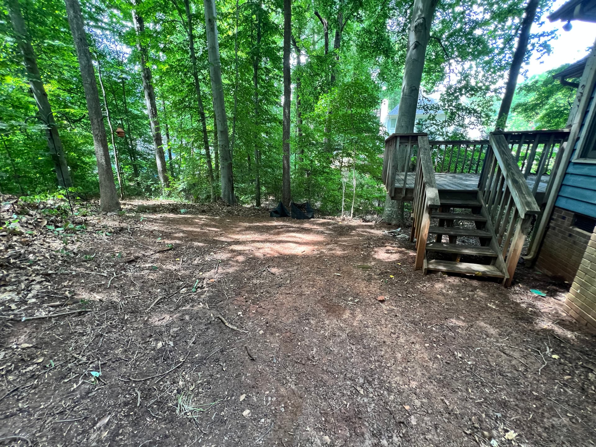 Gallery photos for Full Property Cleanup with Tree Removal and Stump Grinding: Image #9