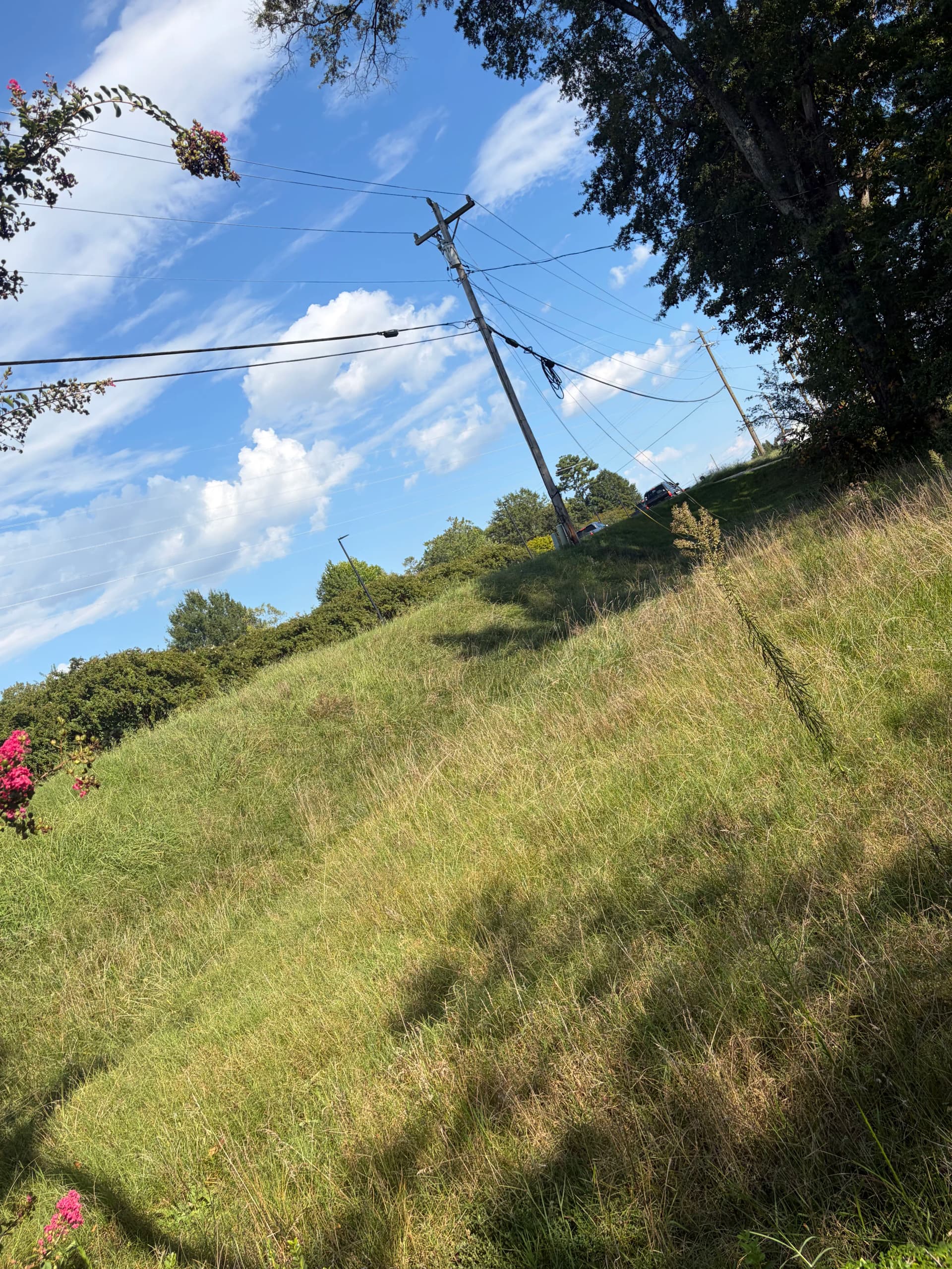 Gallery photos for Commercial Property Yard Cleanup and Mowing Done Right: Image #8