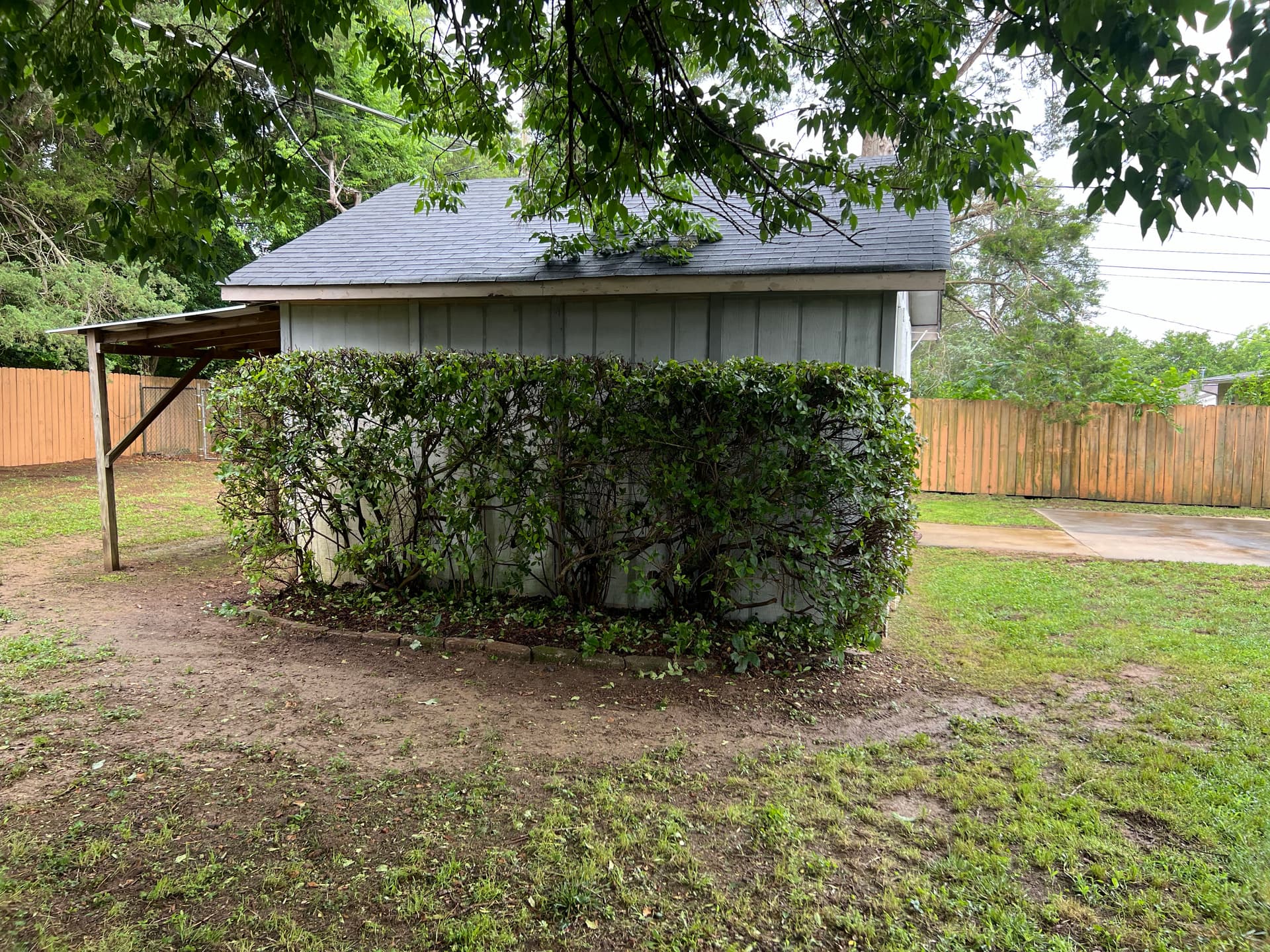 Full Landscape Cleanup and Shrub Trimming at a Brick Ranch Home