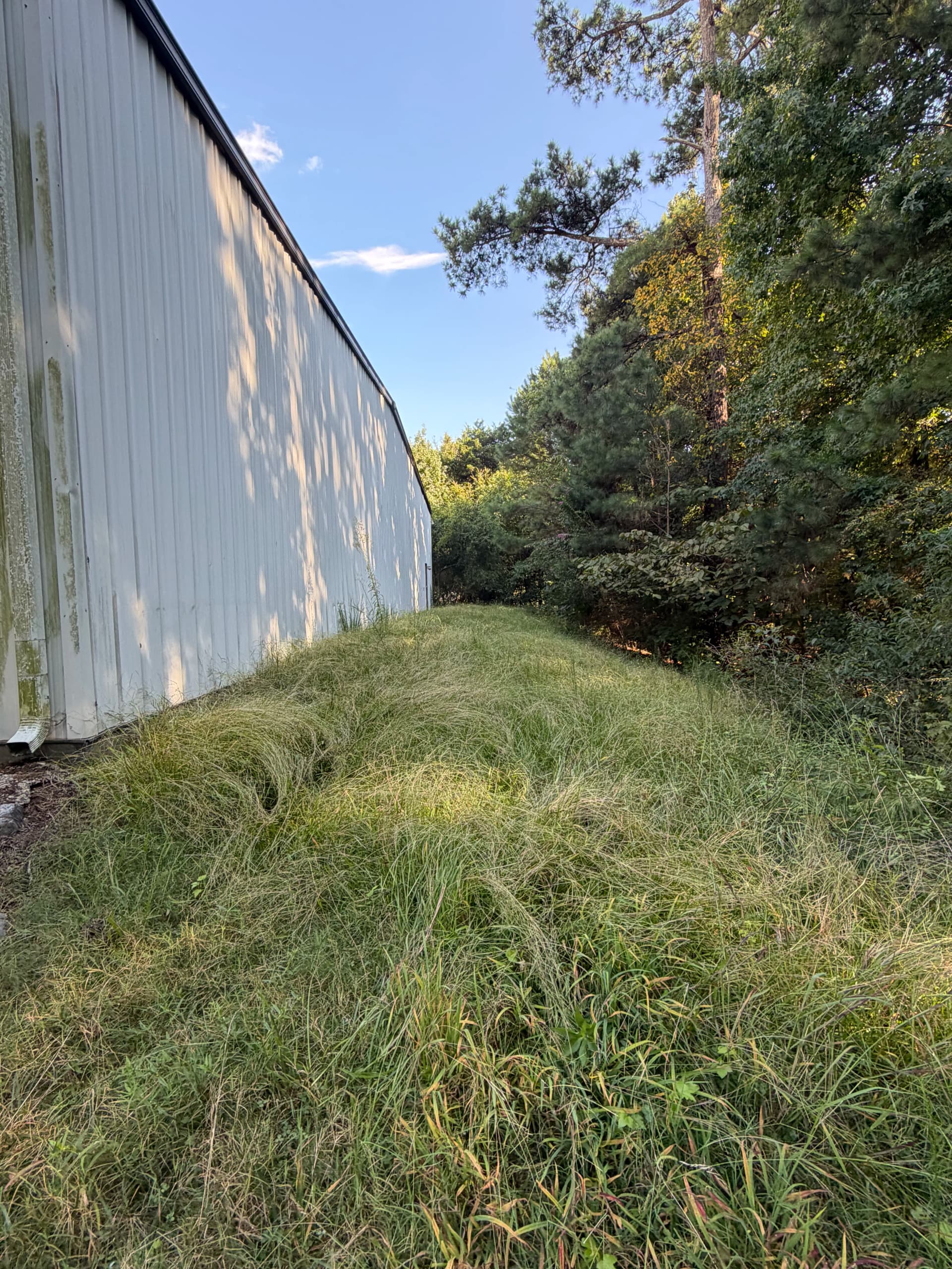 Gallery photos for Commercial Property Yard Cleanup and Mowing Done Right: Image #2