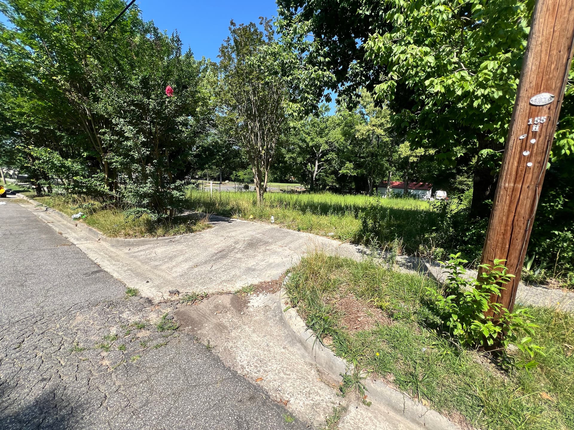 Gallery photos for Vacant Lot Cleanup That Actually Makes a Difference: Image #6