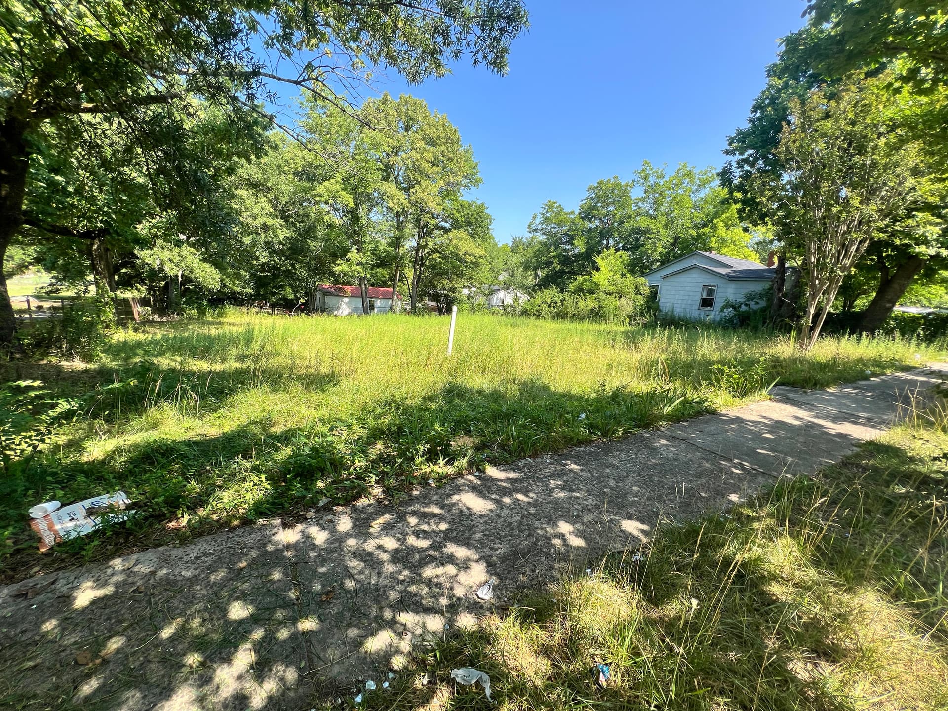 Gallery photos for Vacant Lot Cleanup That Actually Makes a Difference: Image #2