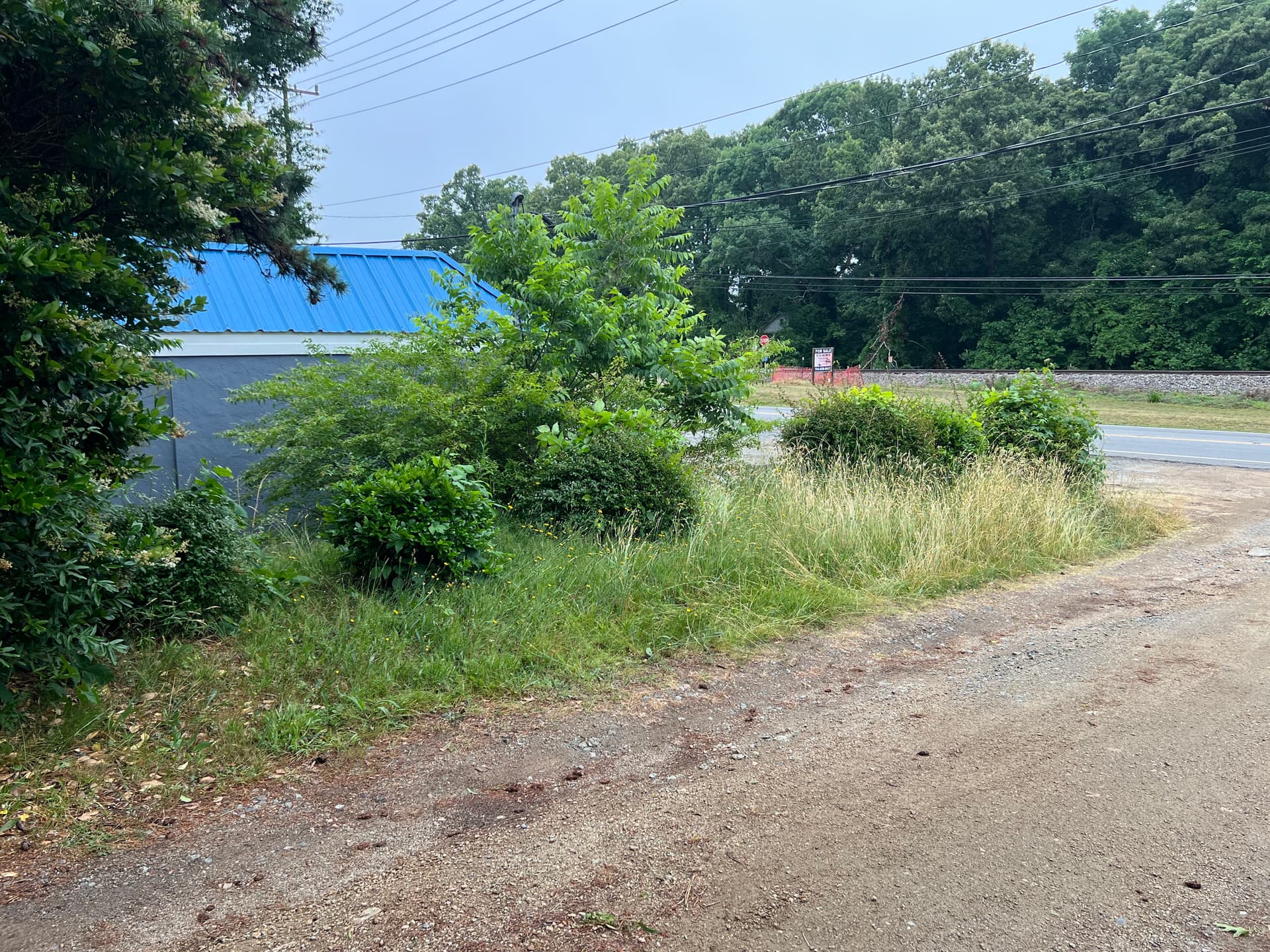Gallery photos for Investor Property Cleanup - Lawn Mowing and Shrub Trimming Done Right: Image #2