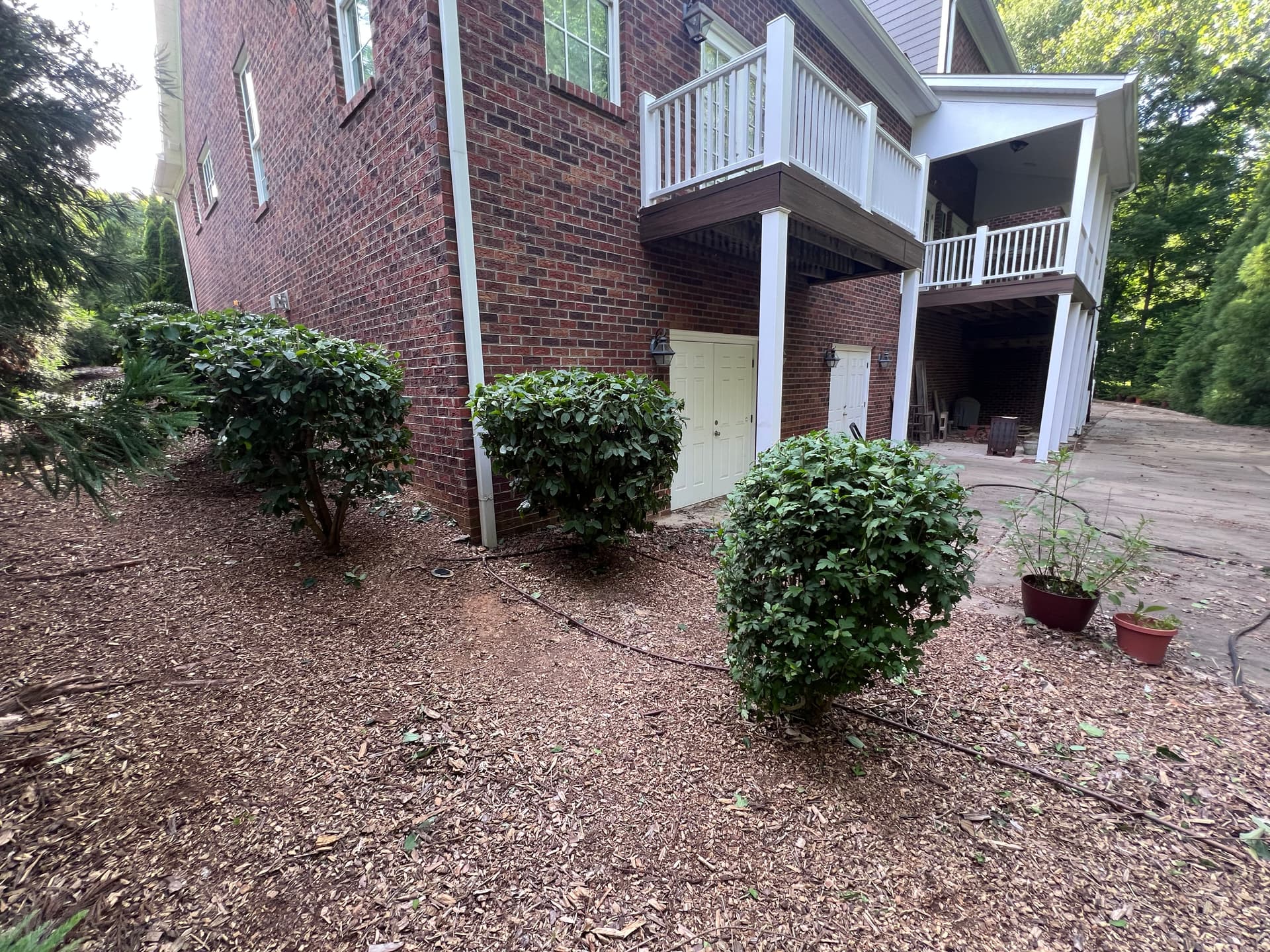 Gallery photos for Shrub Trimming That Actually Makes a Difference at the Curb: Image #9