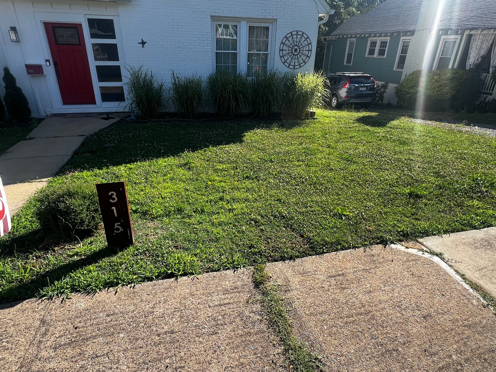 Gallery photos for Overgrown Front Yard Gets a Clean, Sharp Mow: Image #6