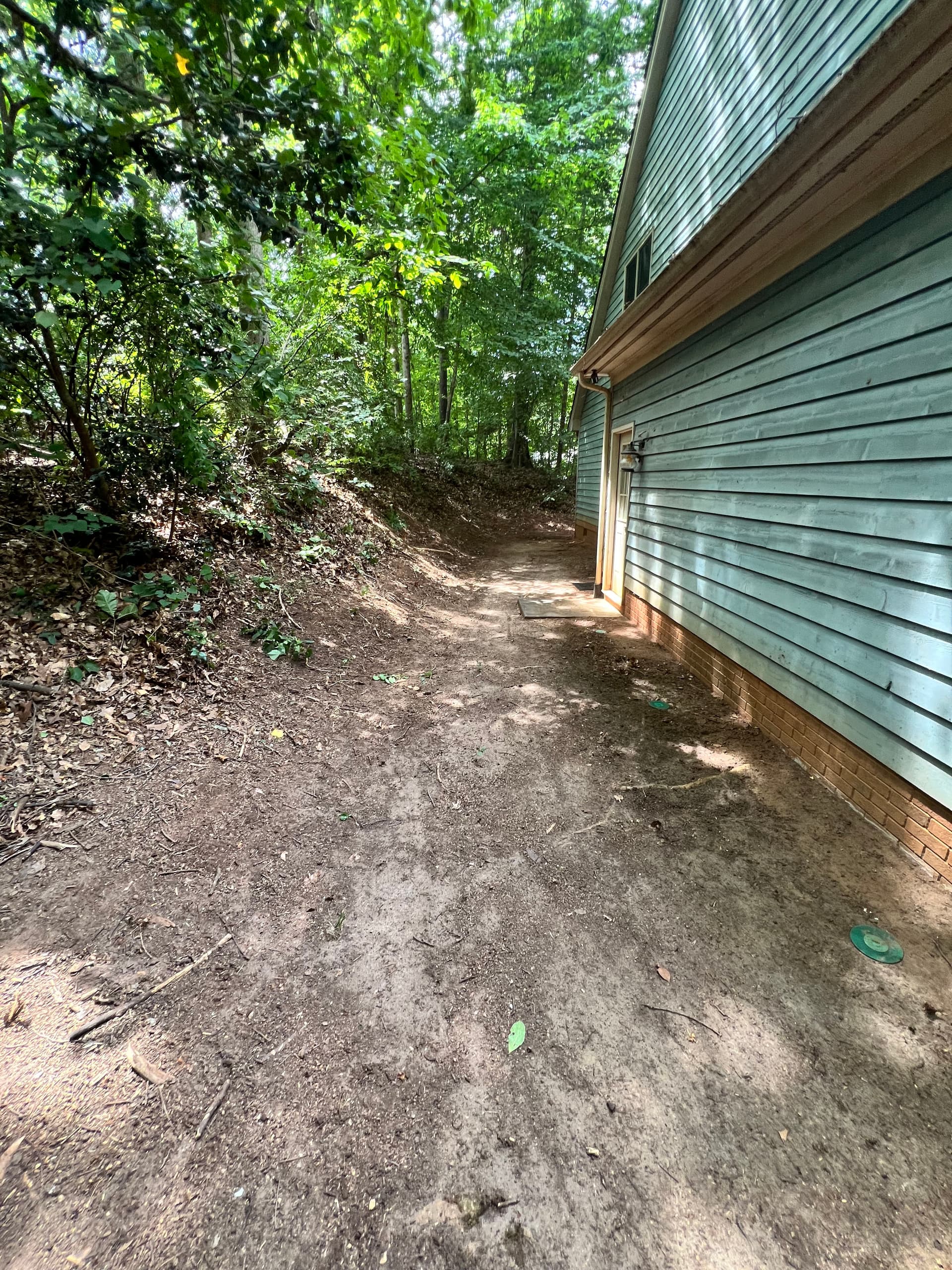 Gallery photos for Full Property Cleanup with Tree Removal and Stump Grinding: Image #7