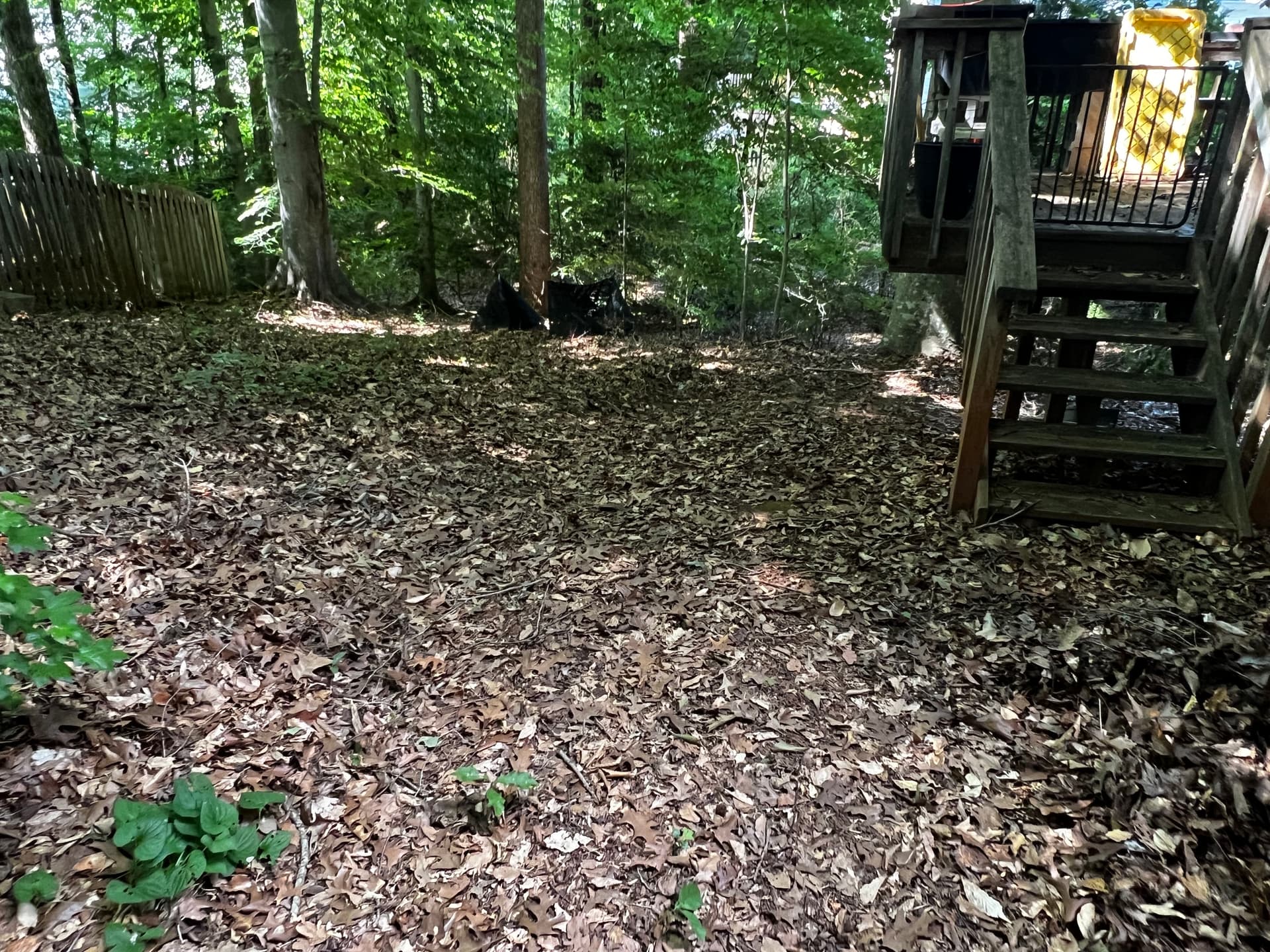 Gallery photos for Full Property Cleanup with Tree Removal and Stump Grinding: Image #8
