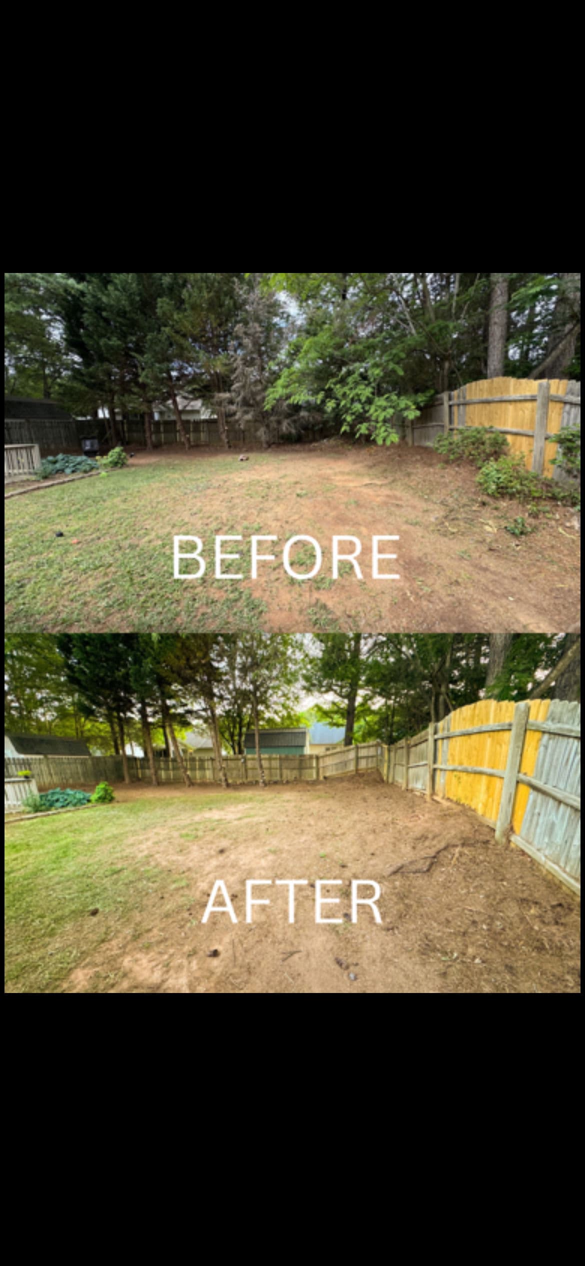Backyard Cleanup in Barron Estates Clears Years of Overgrowth image