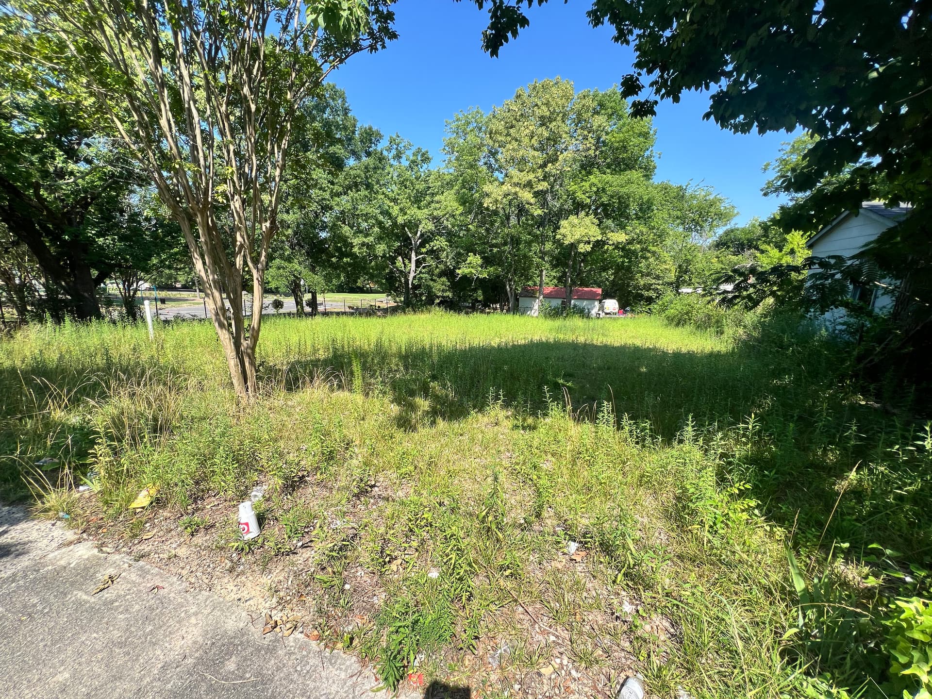 Gallery photos for Vacant Lot Cleanup That Actually Makes a Difference: Image #4