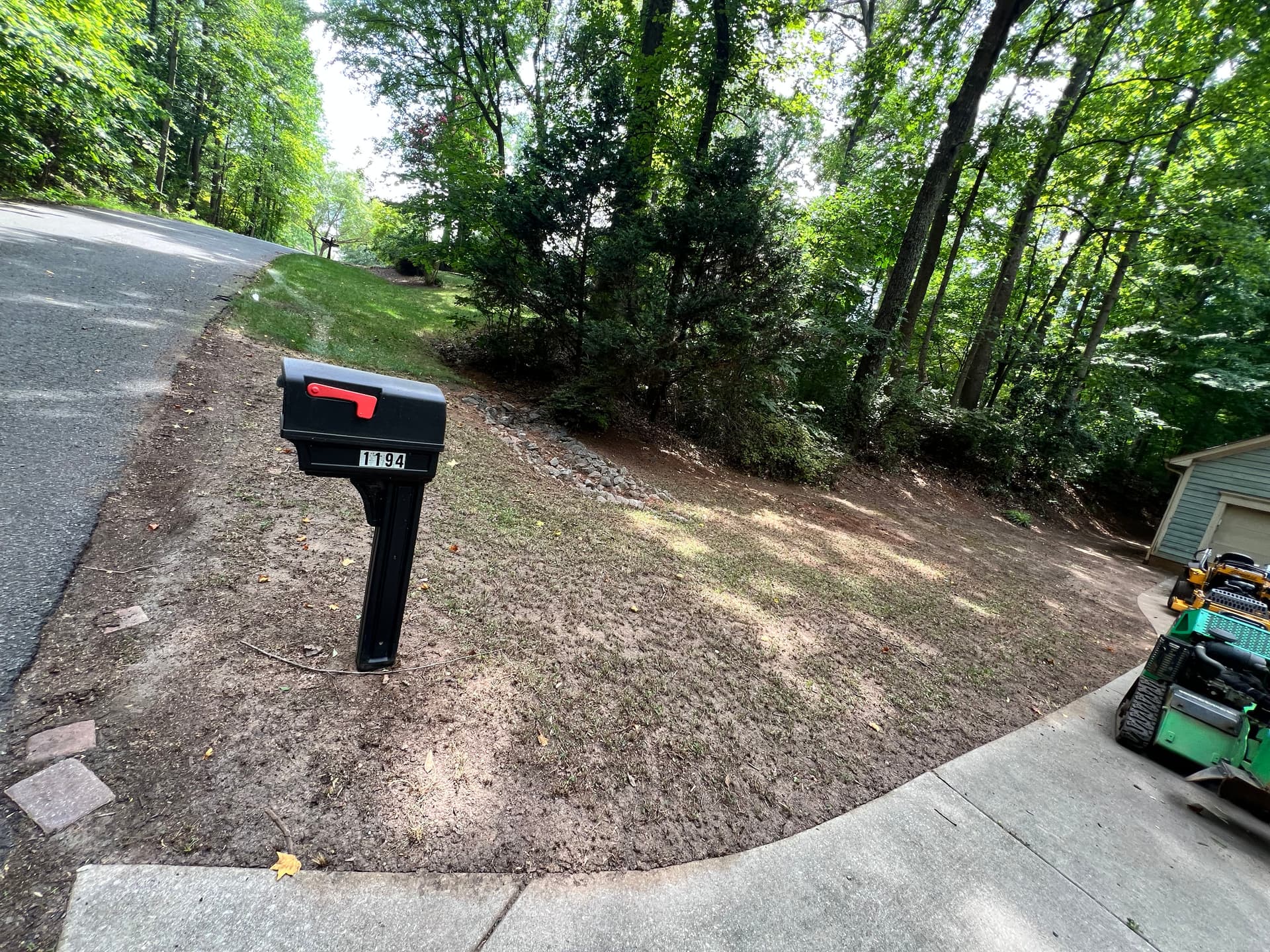 Gallery photos for Full Property Cleanup with Tree Removal and Stump Grinding: Image #1
