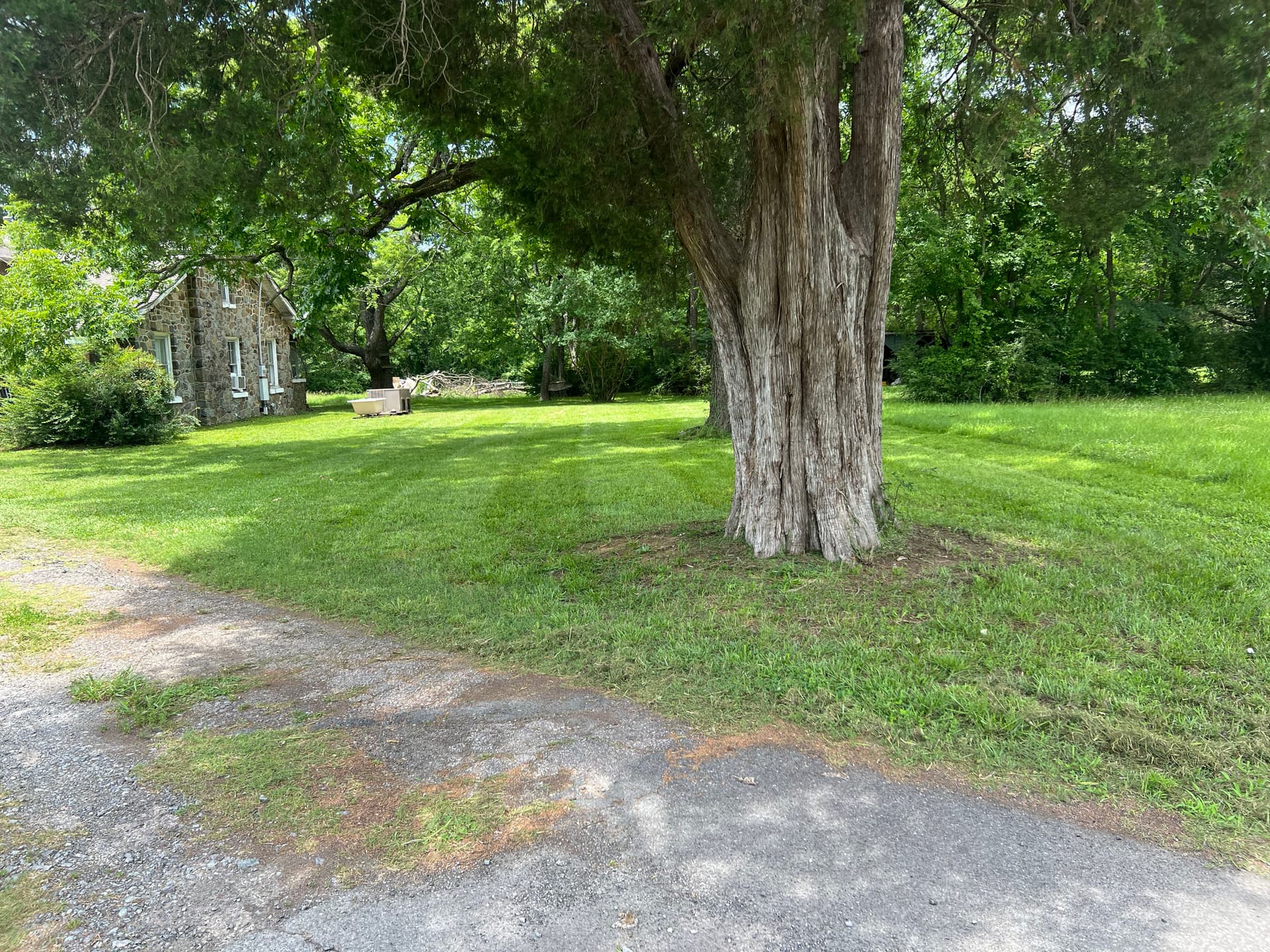 Gallery photos for Clean Cuts and Trimmed Shrubs Across Multiple Properties: Image #6
