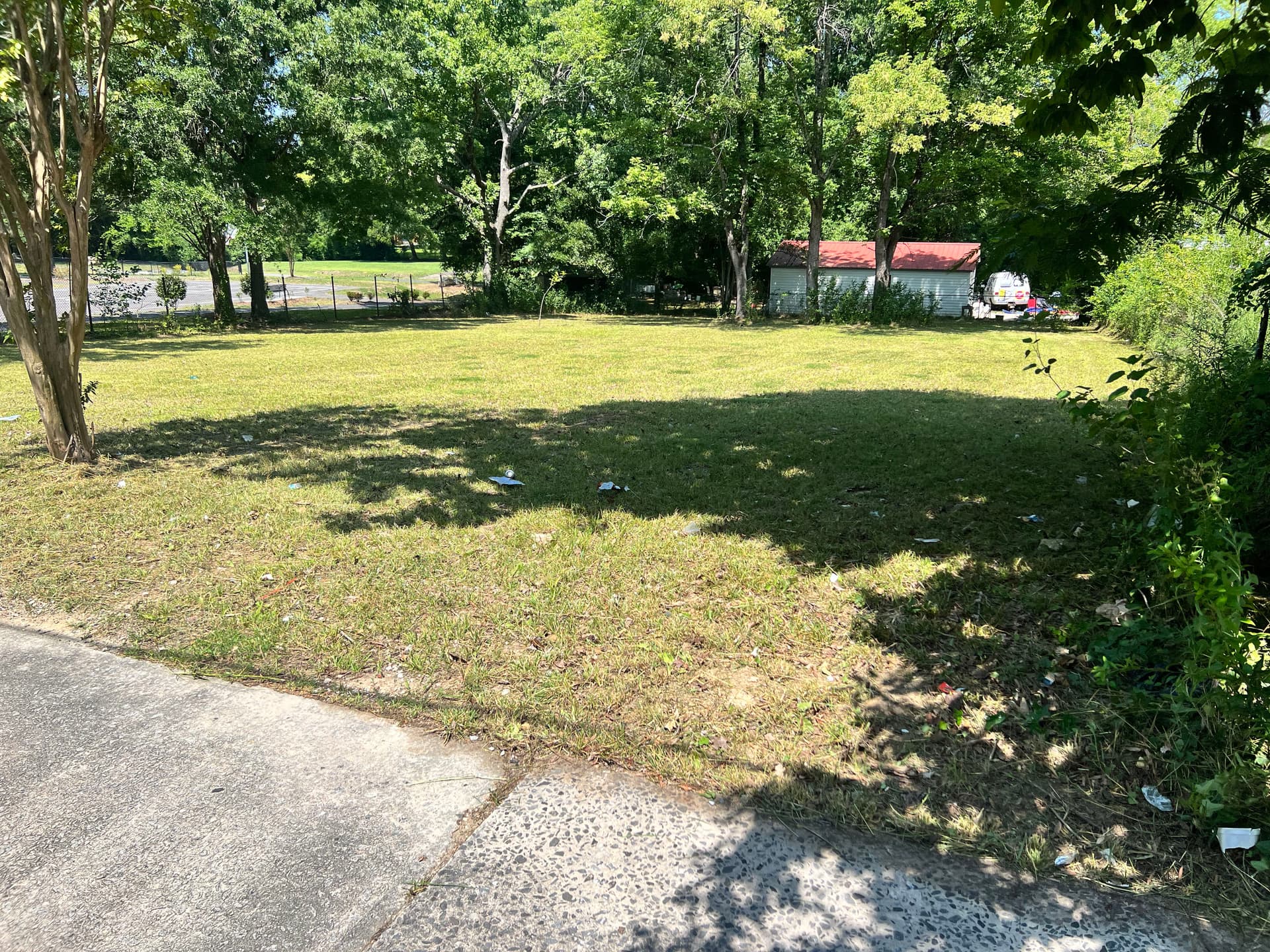 Gallery photos for Vacant Lot Cleanup That Actually Makes a Difference: Image #5