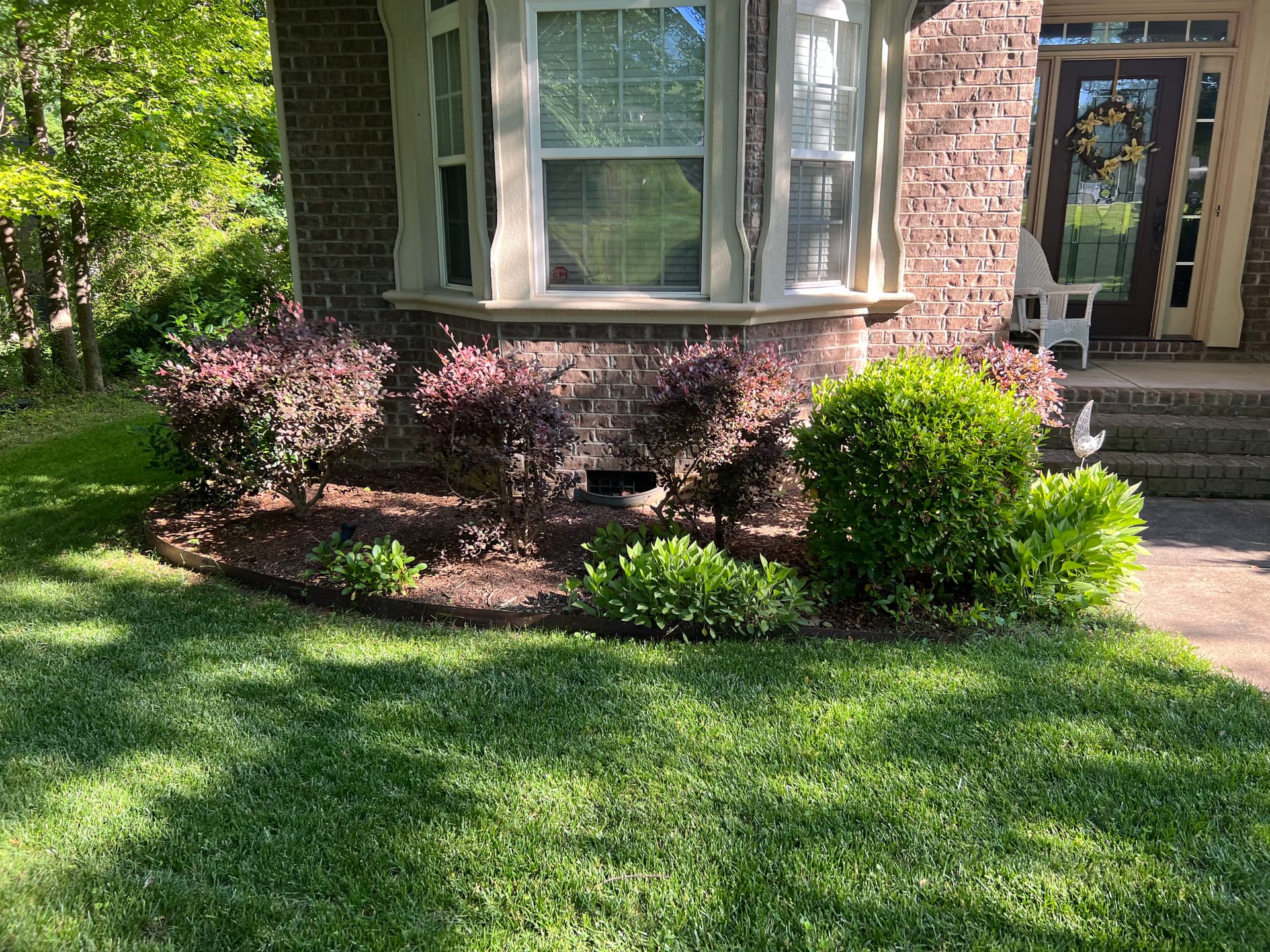Gallery photos for Overgrown Shrubs Cut Back and Lawn Brought Back to Sharp: Image #4