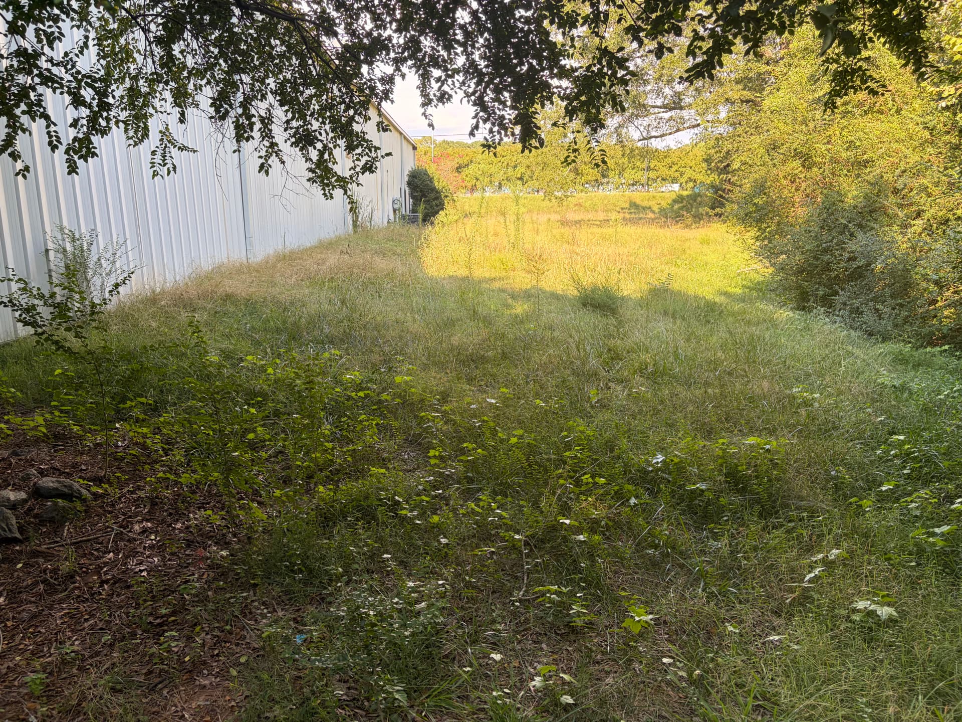 Gallery photos for Commercial Property Yard Cleanup and Mowing Done Right: Image #6