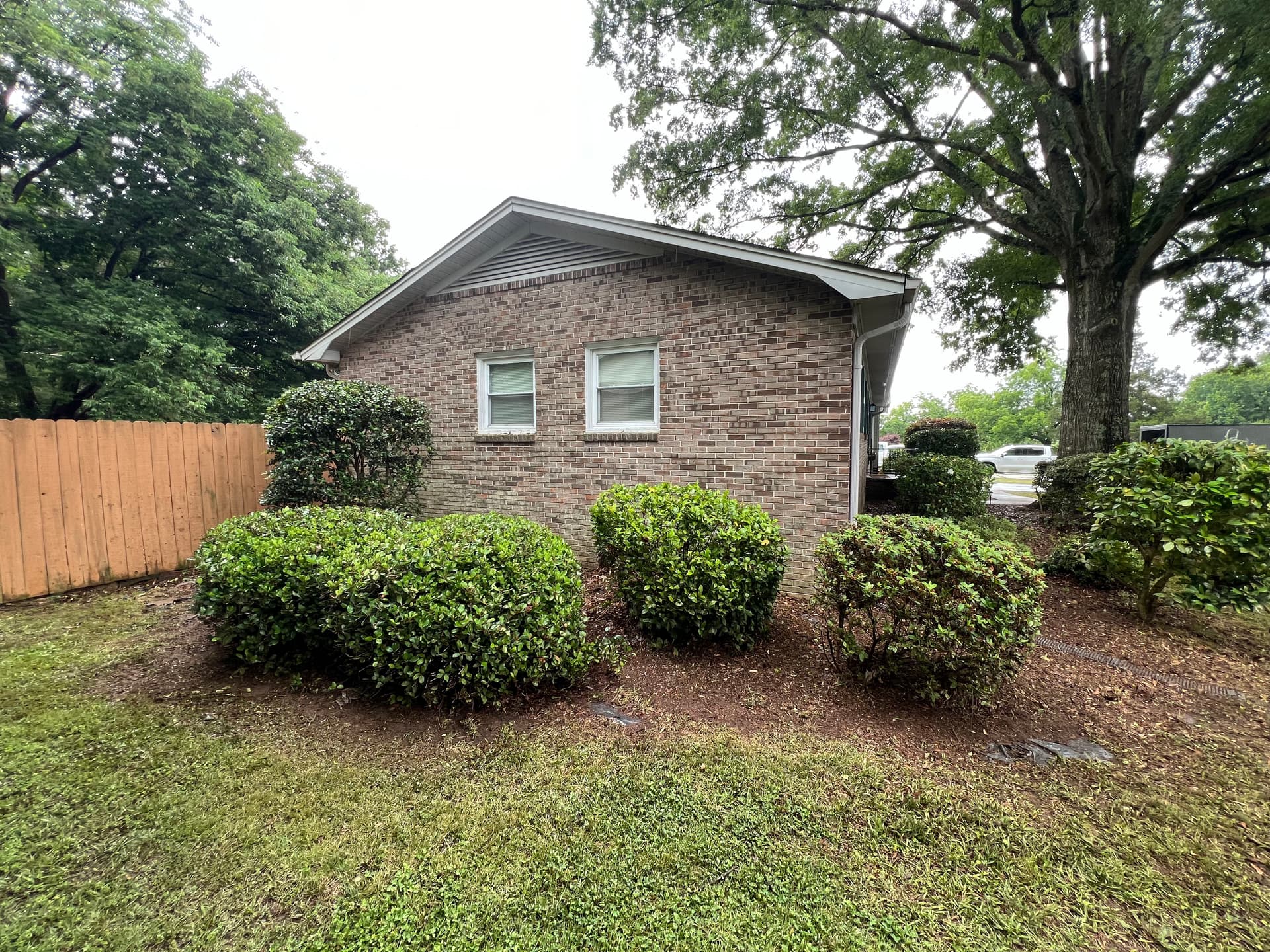 Gallery photos for Full Landscape Cleanup and Shrub Trimming at a Brick Ranch Home: Image #9