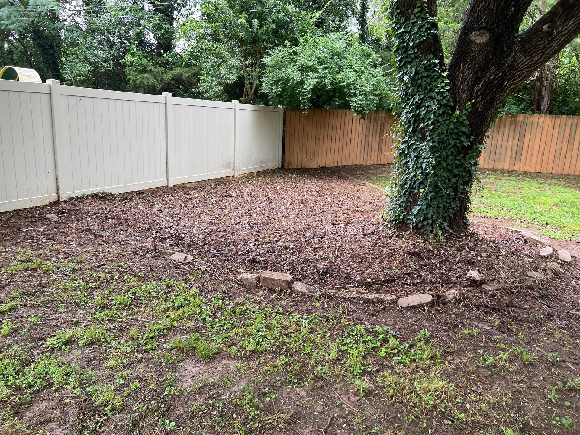 Gallery photos for Full Landscape Cleanup and Shrub Trimming at a Brick Ranch Home: Image #5