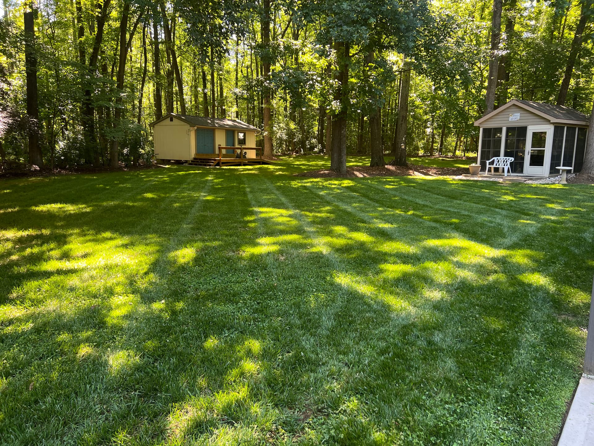 Gallery photos for A Full Day of Lawn Maintenance Done Right: Image #5