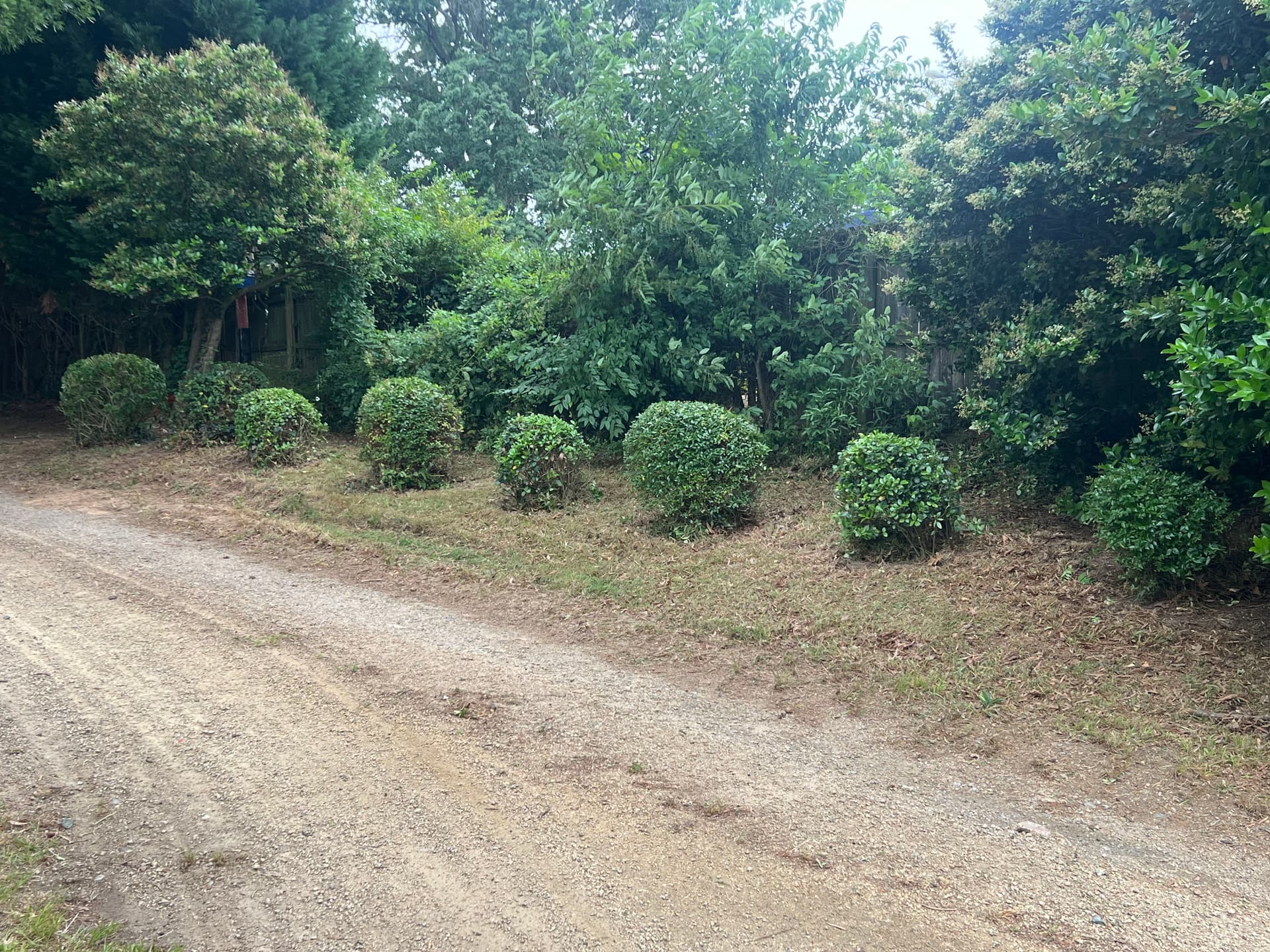 Gallery photos for Investor Property Cleanup - Lawn Mowing and Shrub Trimming Done Right: Image #5