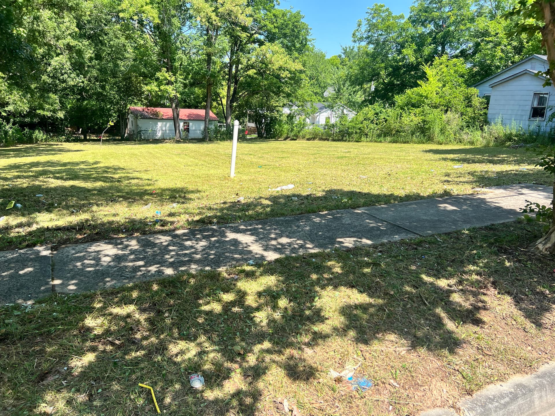 Gallery photos for Vacant Lot Cleanup That Actually Makes a Difference: Image #3