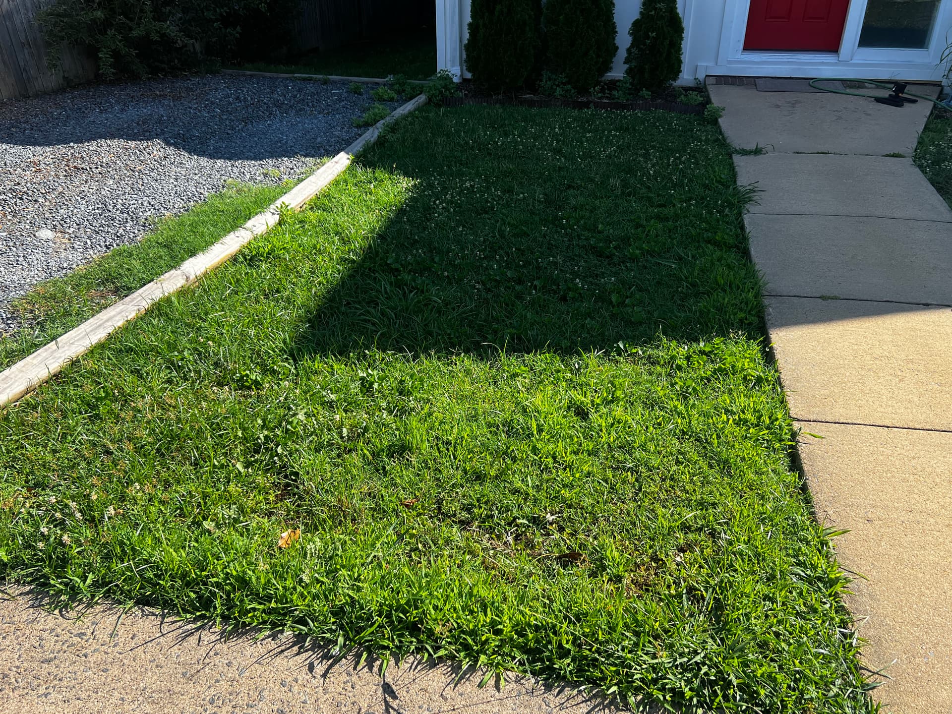 Overgrown Front Yard Gets a Clean, Sharp Mow