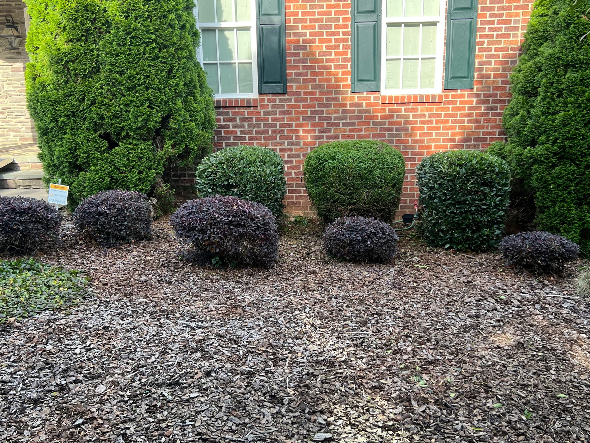 Gallery photos for Shrub Trimming That Actually Makes a Difference at the Curb: Image #4